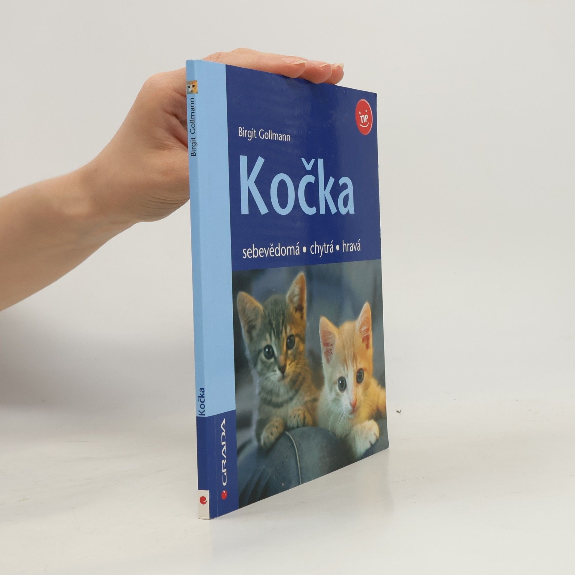 Birgit Gollmann Kočka - sebevědomá, chytrá, hravá