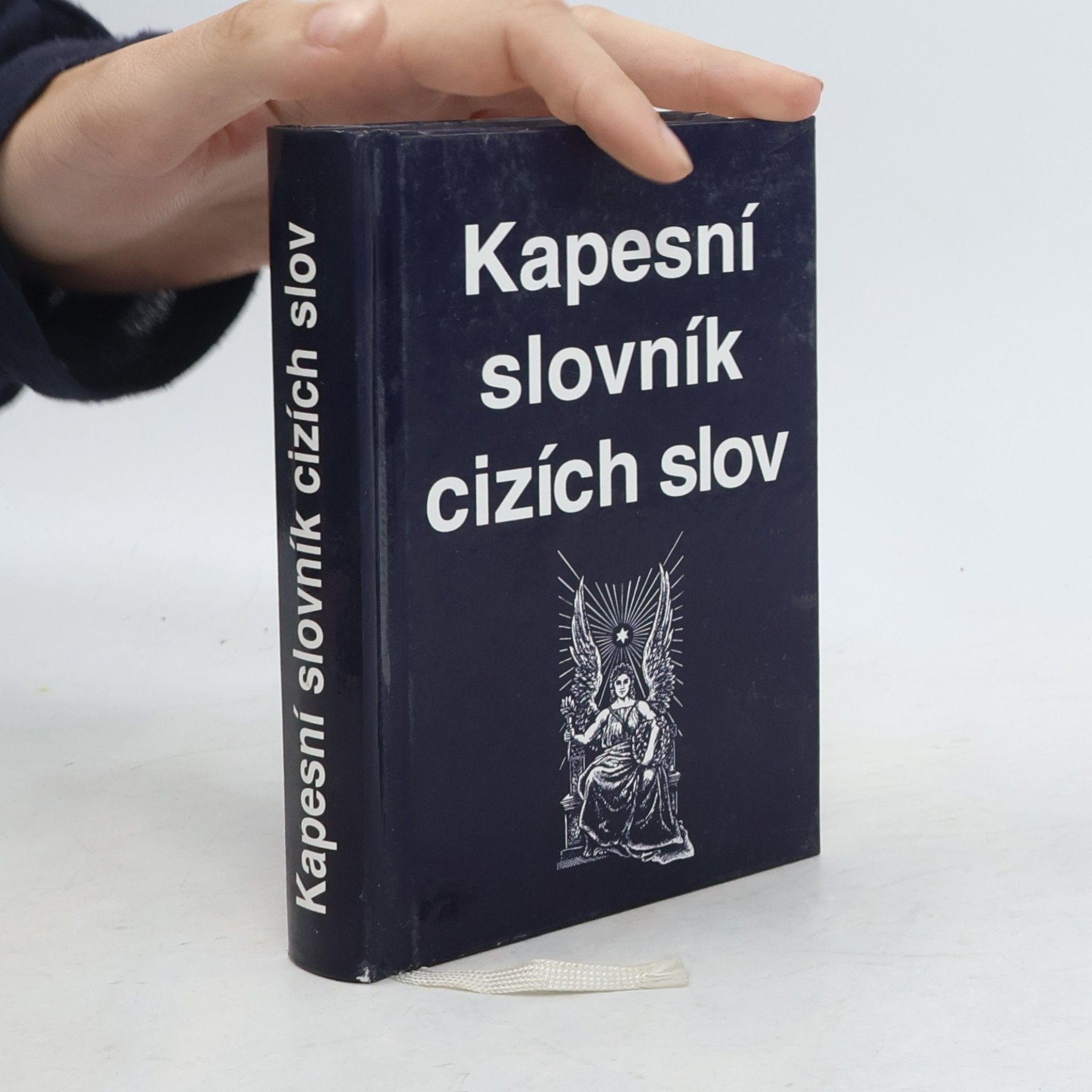 Kolektiv autorů Kapesní slovník cizích slov