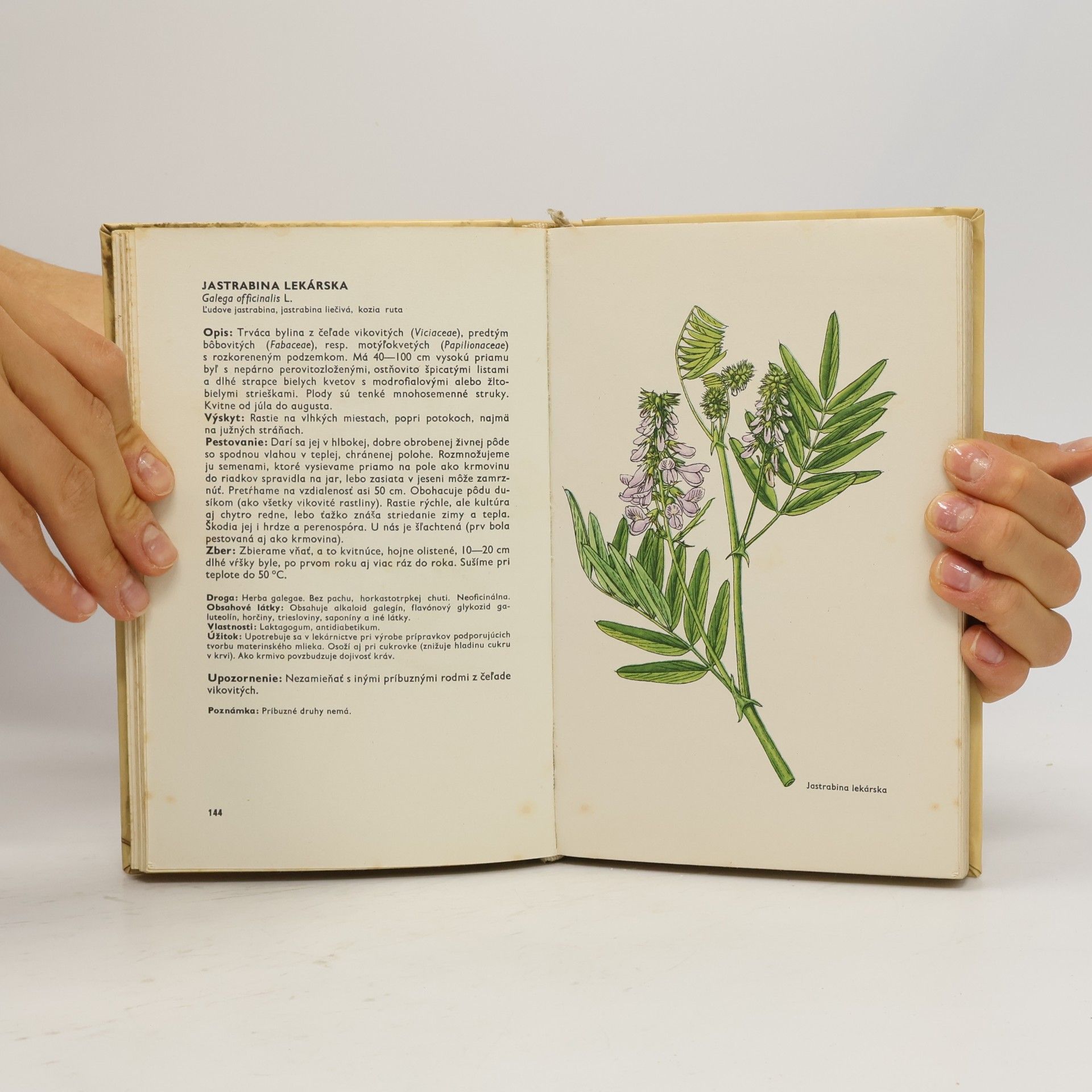 Ludmila Thurzová Malý atlas liečivých rastlín