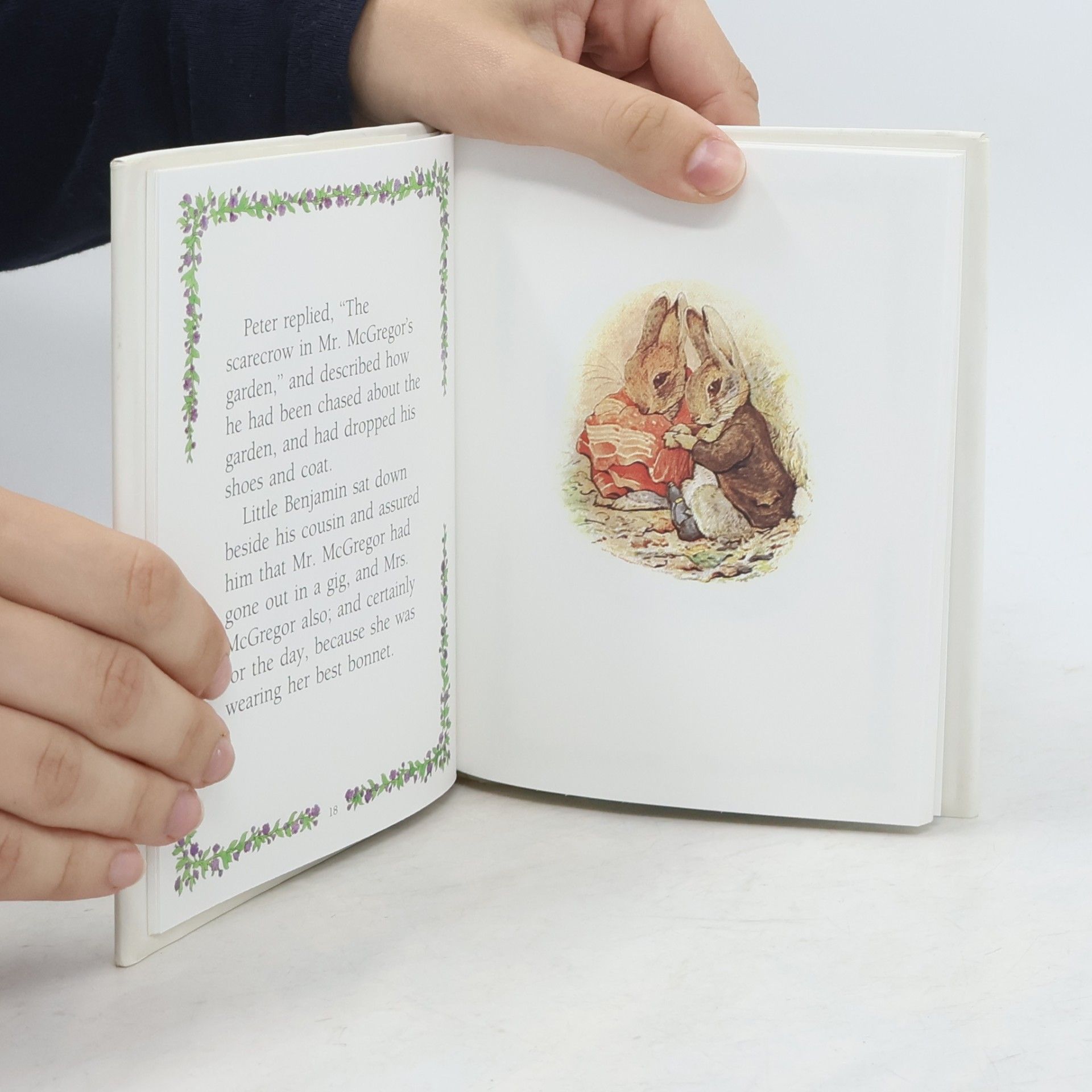 Beatrix Potter The Tale of Benjamin Bunny