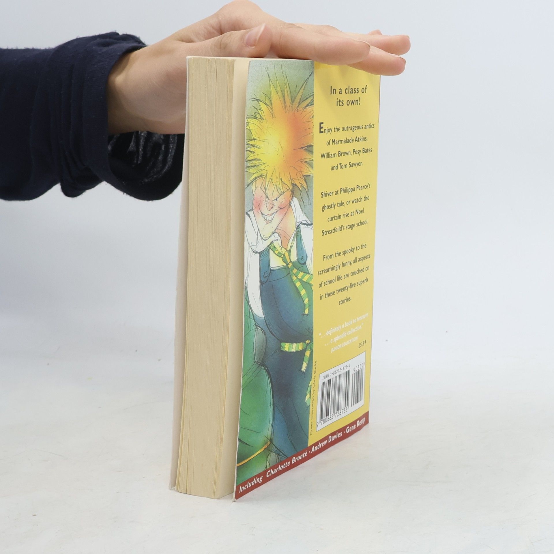 David Parkins Kingfisher Story Library: School Stories