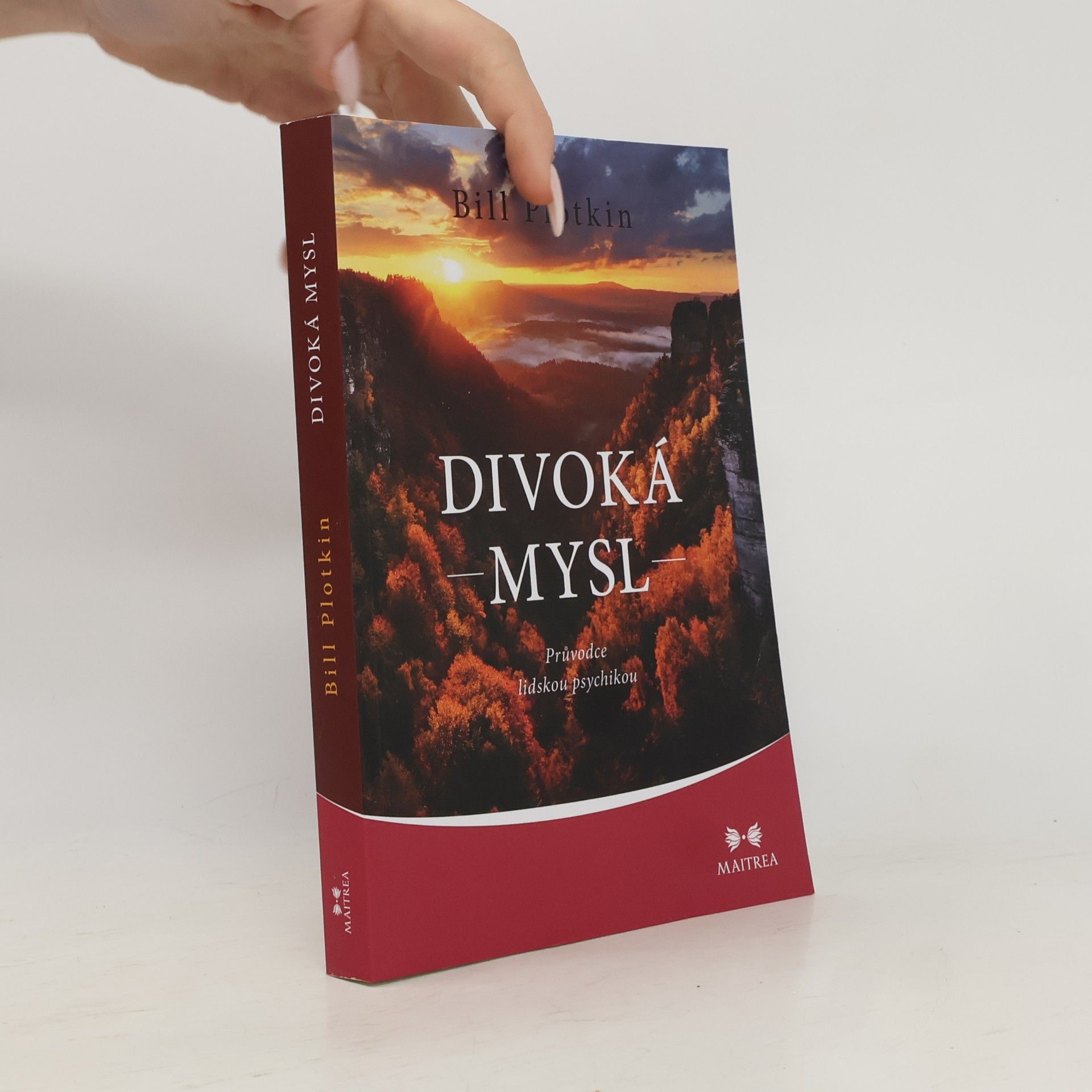 Lenka Adamcová Divoká mysl : průvodce lidskou psychikou
