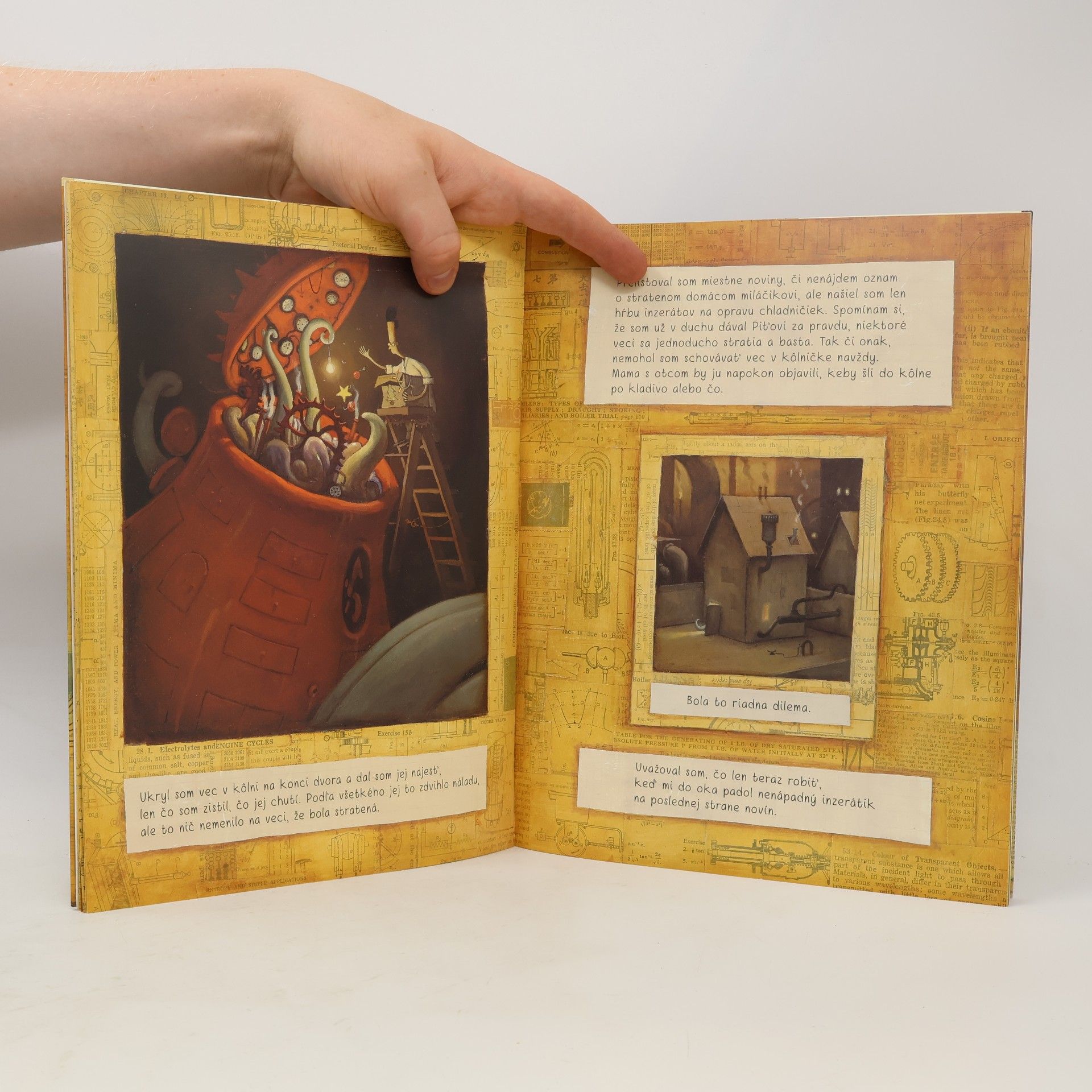 Shaun Tan Stratená vec