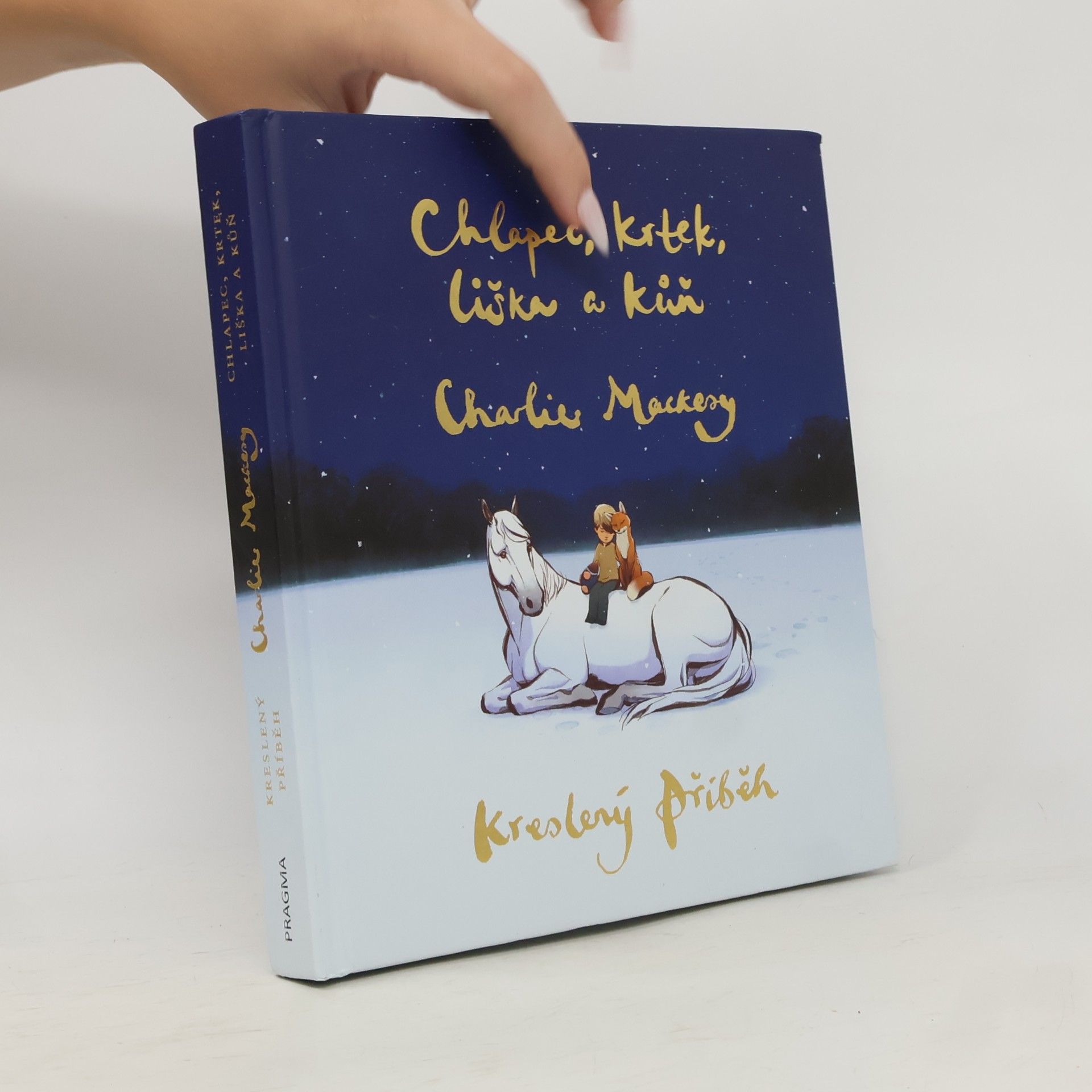 Charlie Mackesy Chlapec, krtek, liška a kůň : kreslený příběh