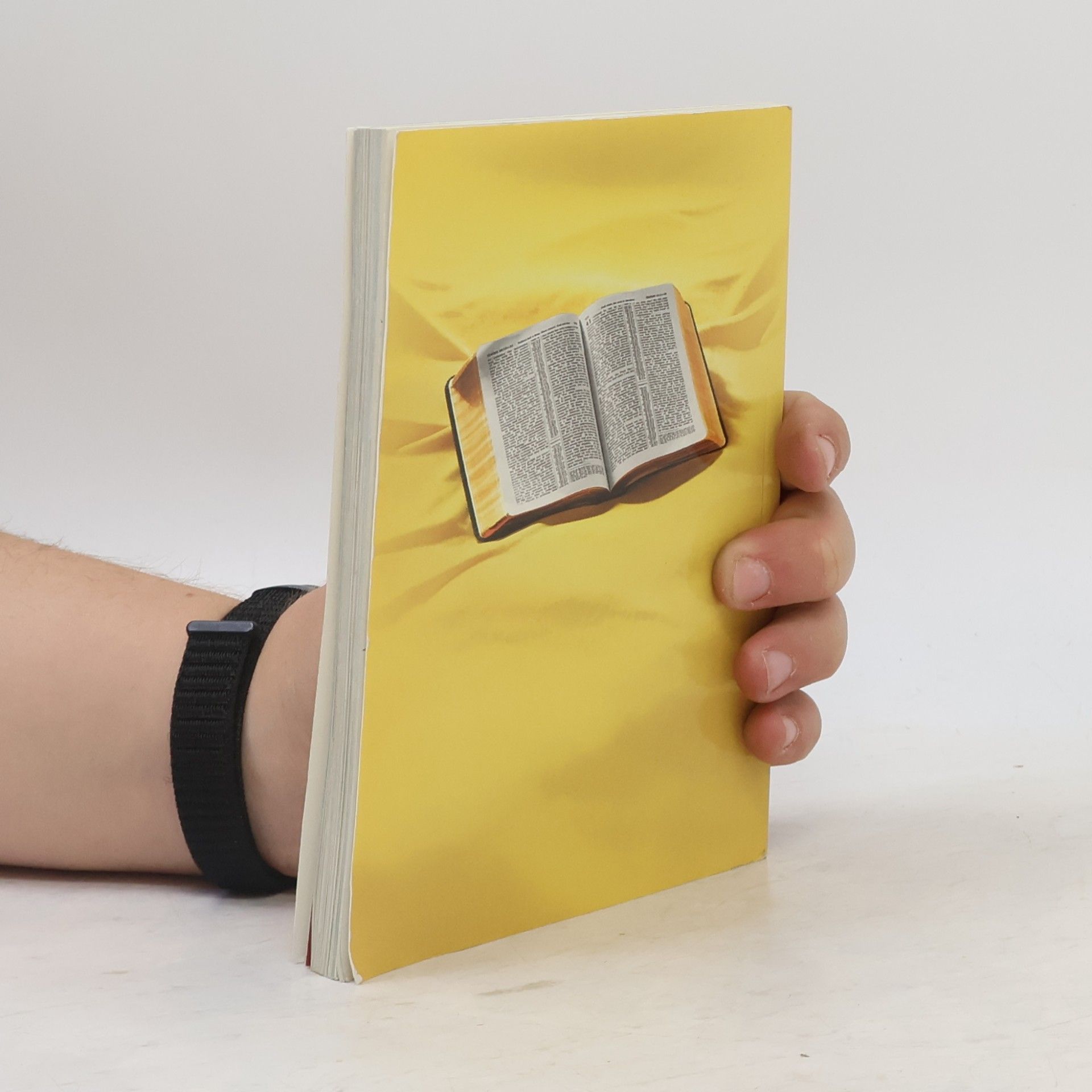 kolektiv Was lehrt die Bibel wirklich?