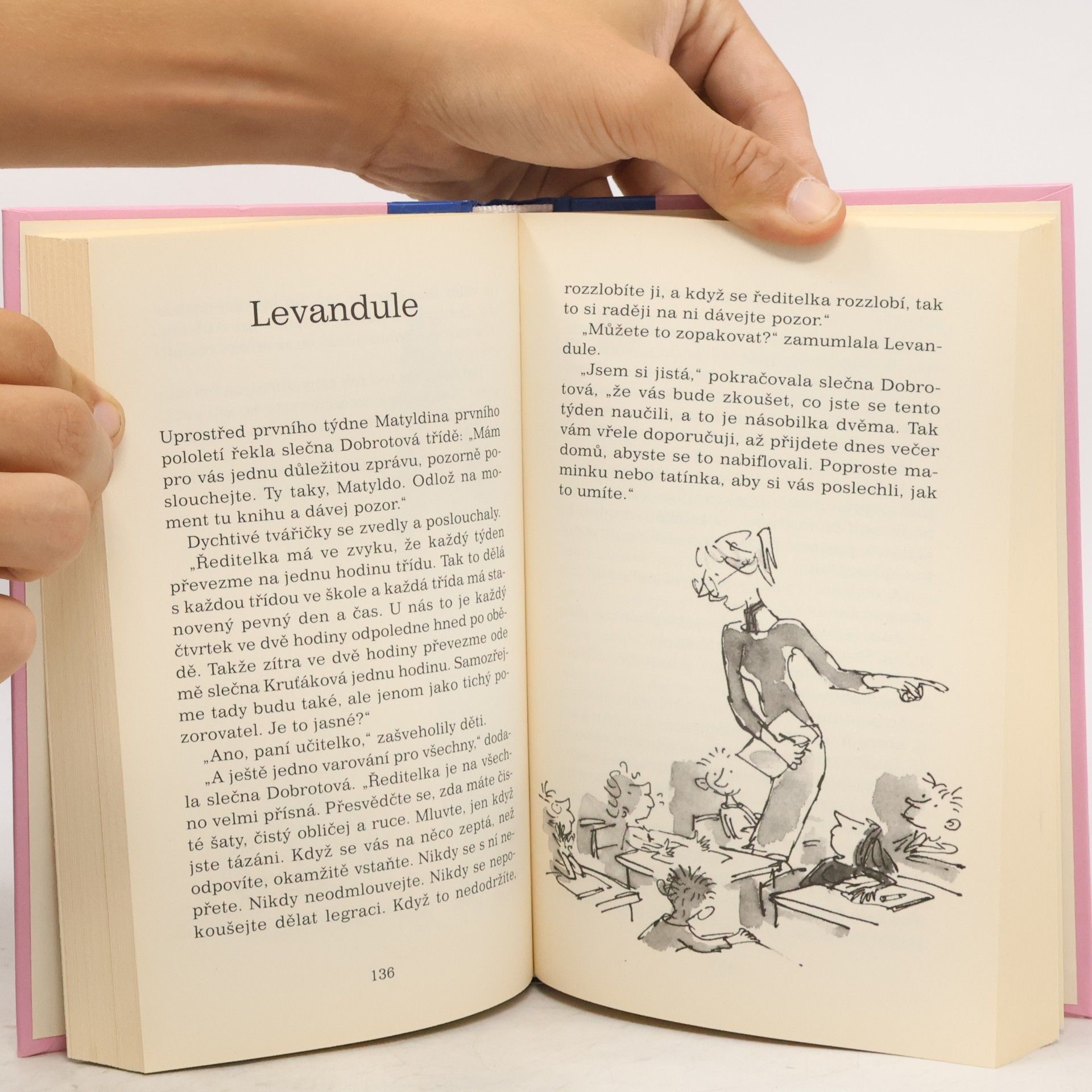 Roald Dahl Matylda