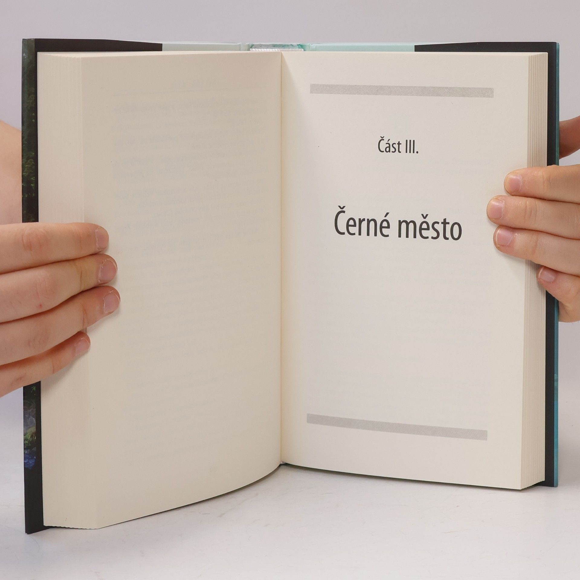 Aleš Pitzmos Poslední klíč