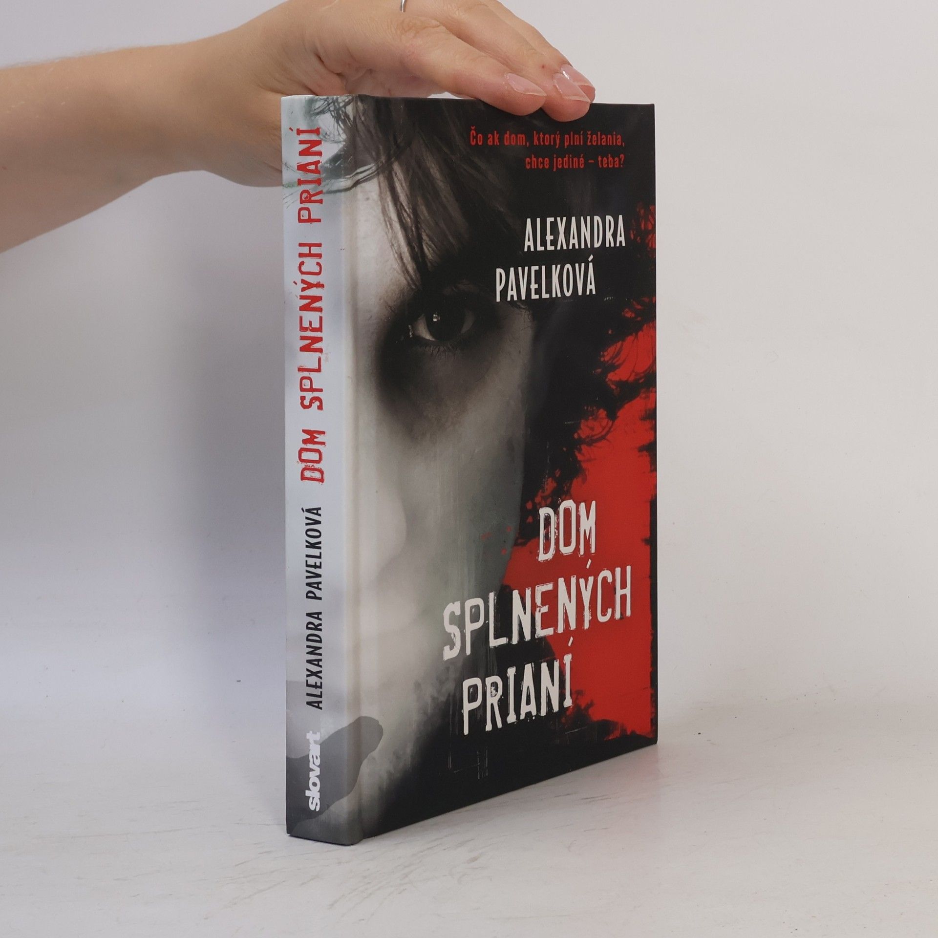 Alexandra Pavelková Dom splnených prianí