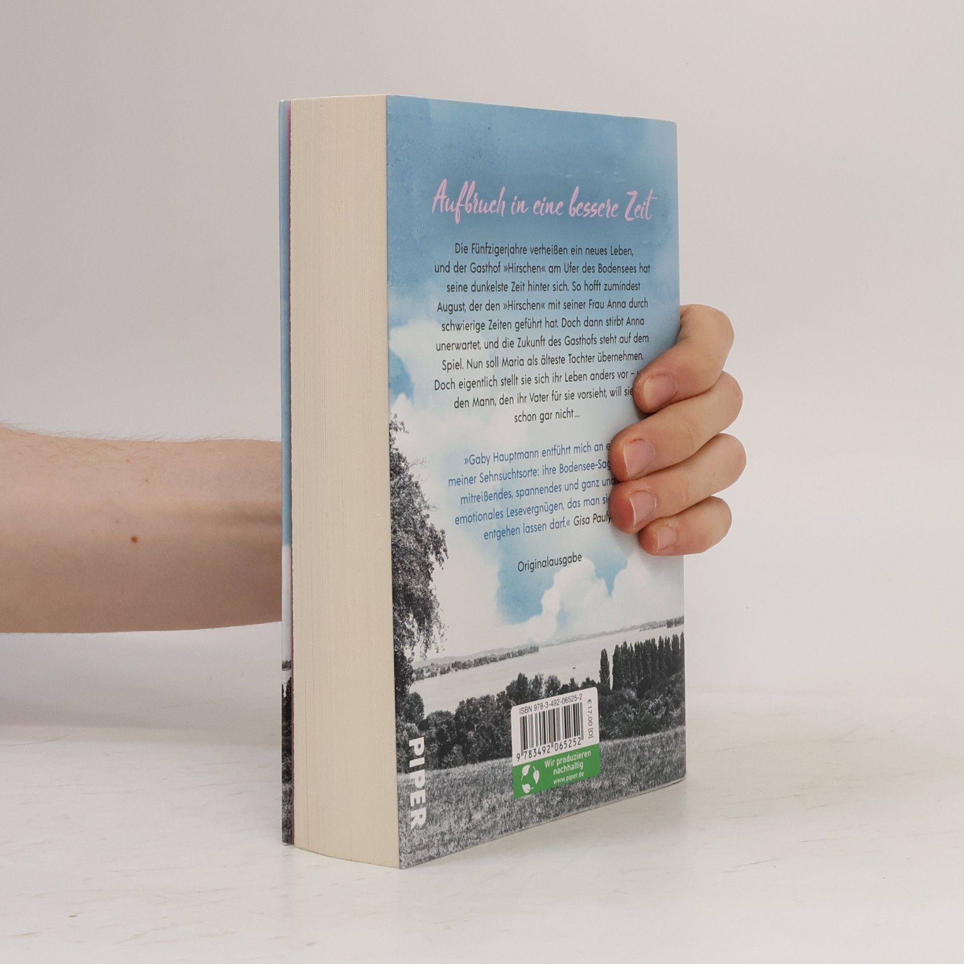 Gaby Hauptmann Traum vom besseren Leben / Die Frauen vom See Bd.2
