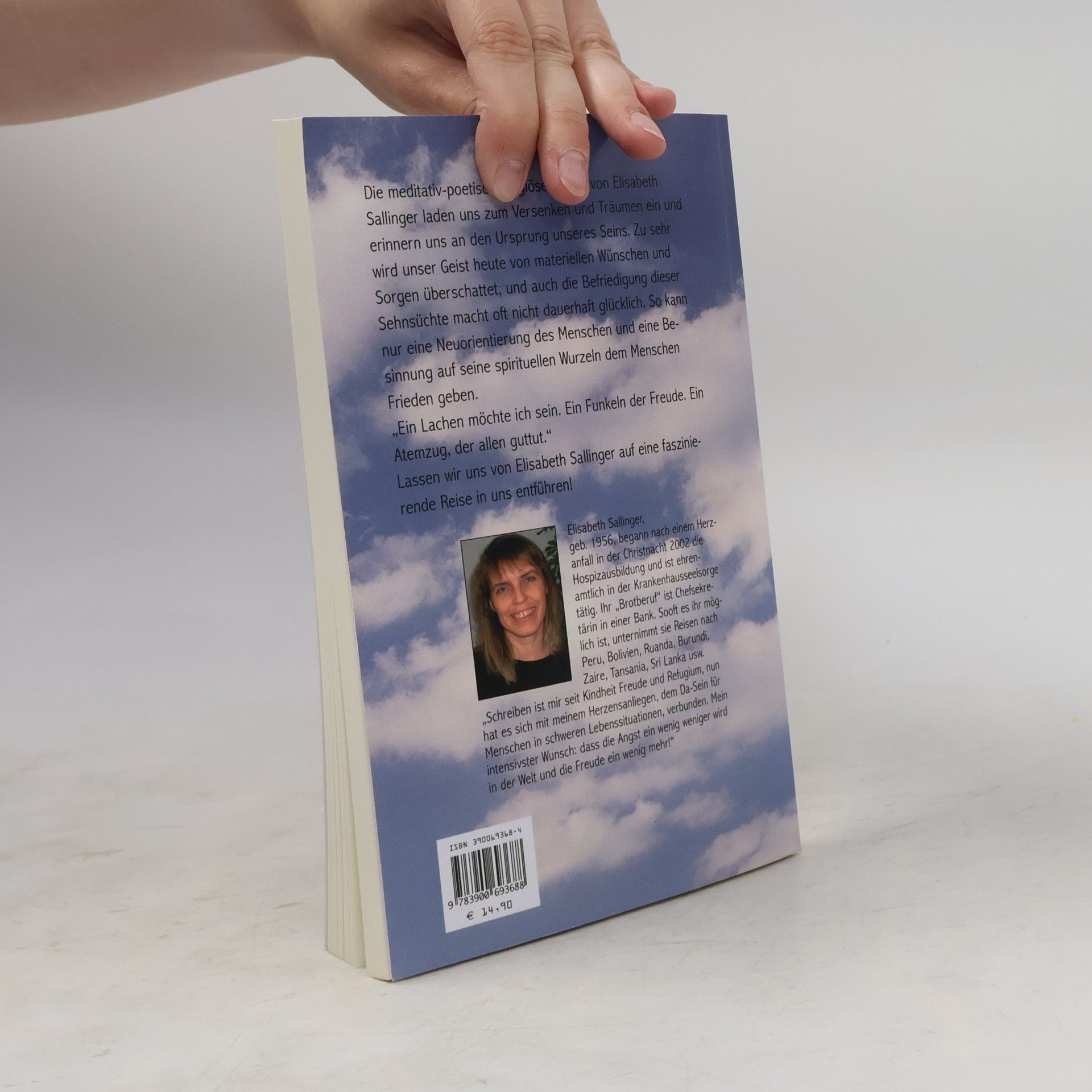 Elisabeth Sallinger Engel aus Licht