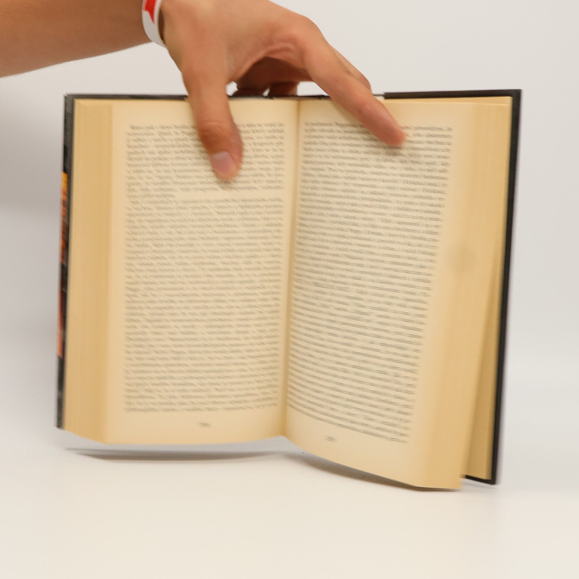 William Styron Zapal tento dům