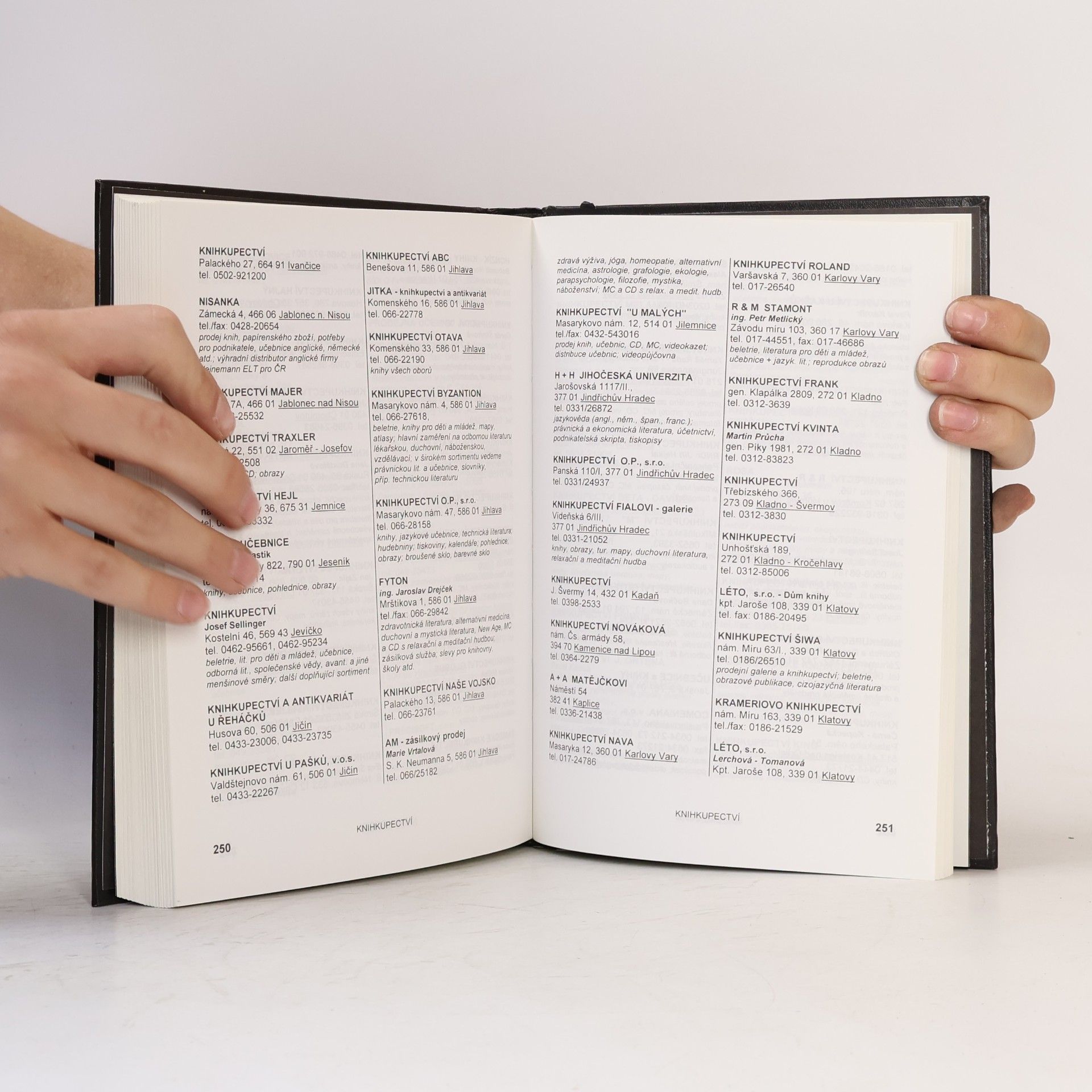 Jiří Pánek Český literární almanach 1996