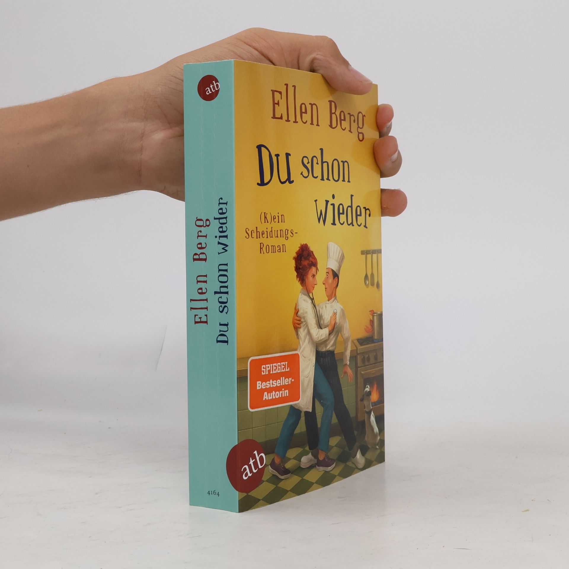 Ellen Berg Du schon wieder: (K)ein Scheidungs-Roman