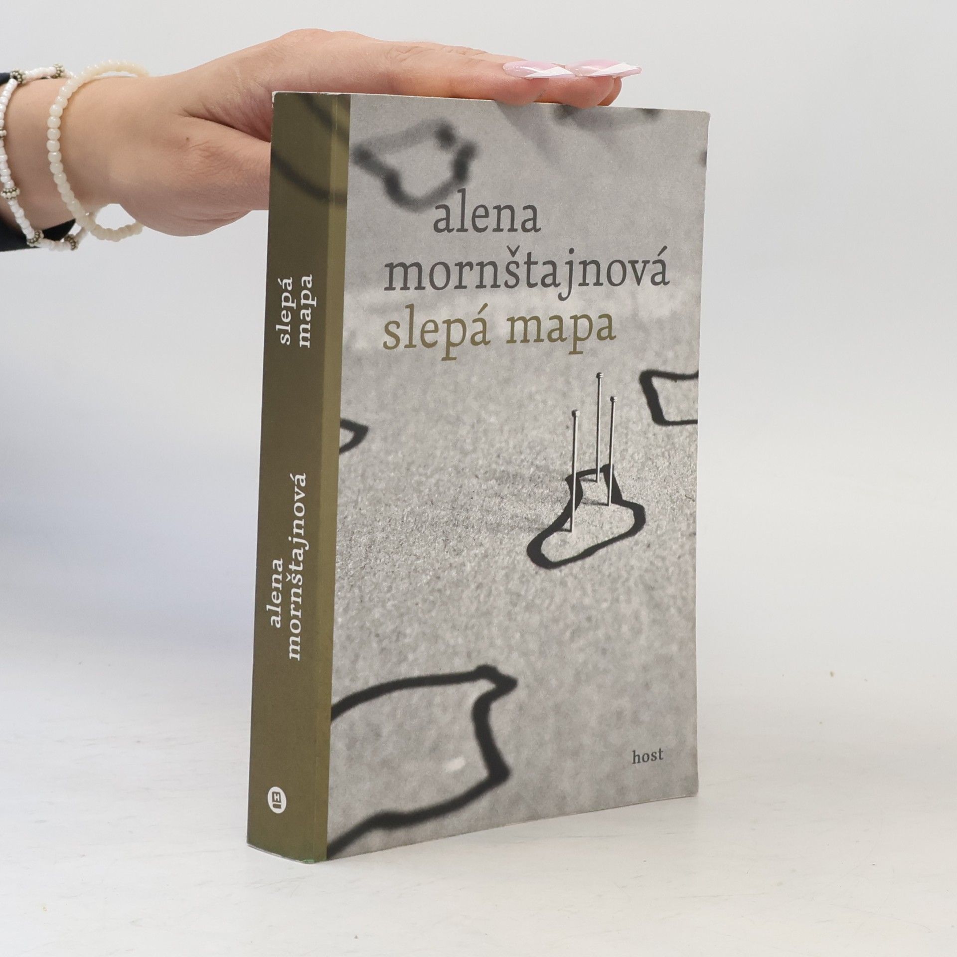 Alena Mornštajnová Slepá mapa