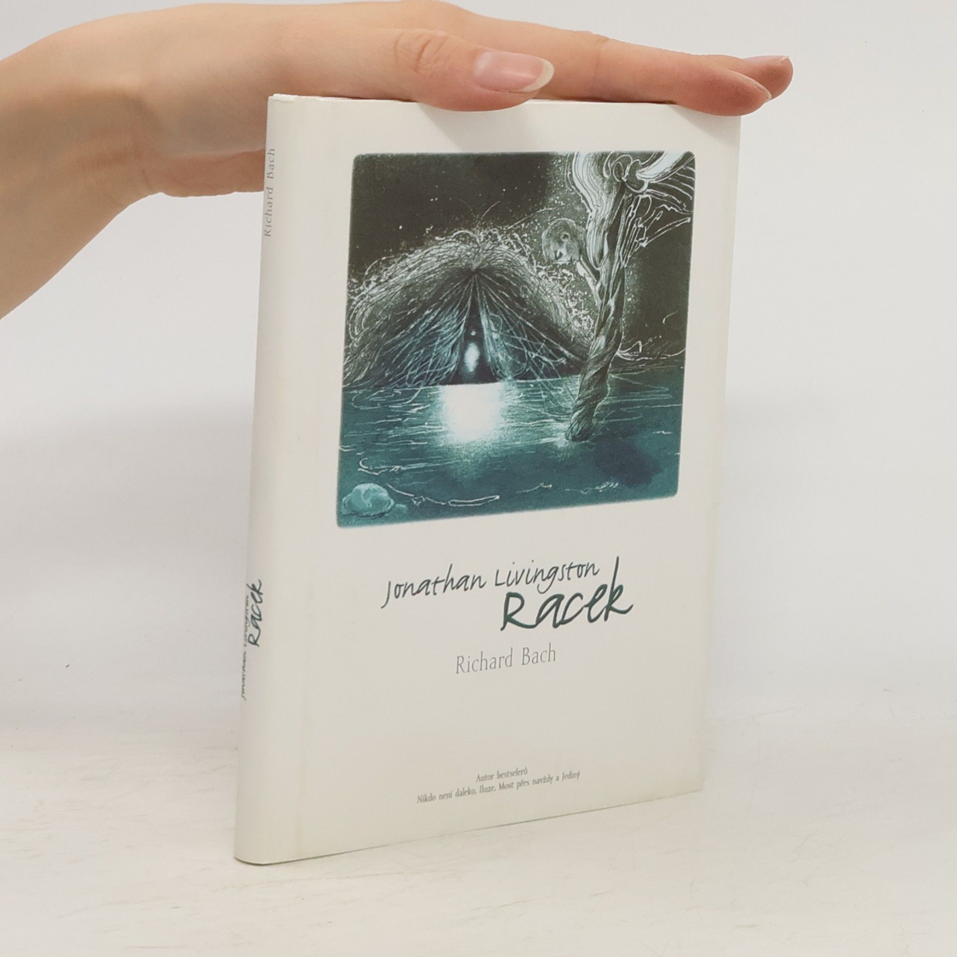 Richard David Bach Jonathan Livingston: Racek