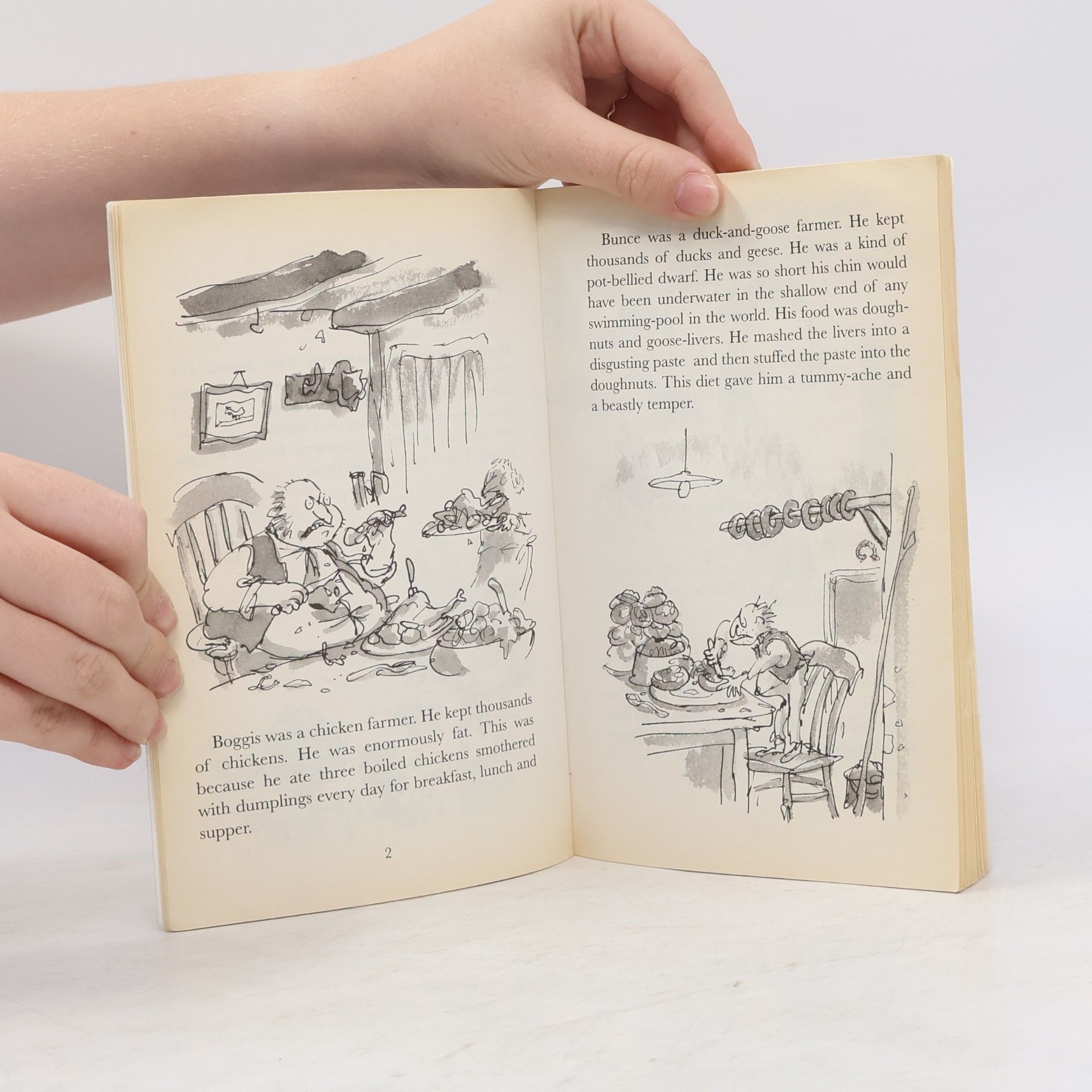 Roald Dahl Fantastic Mr. Fox