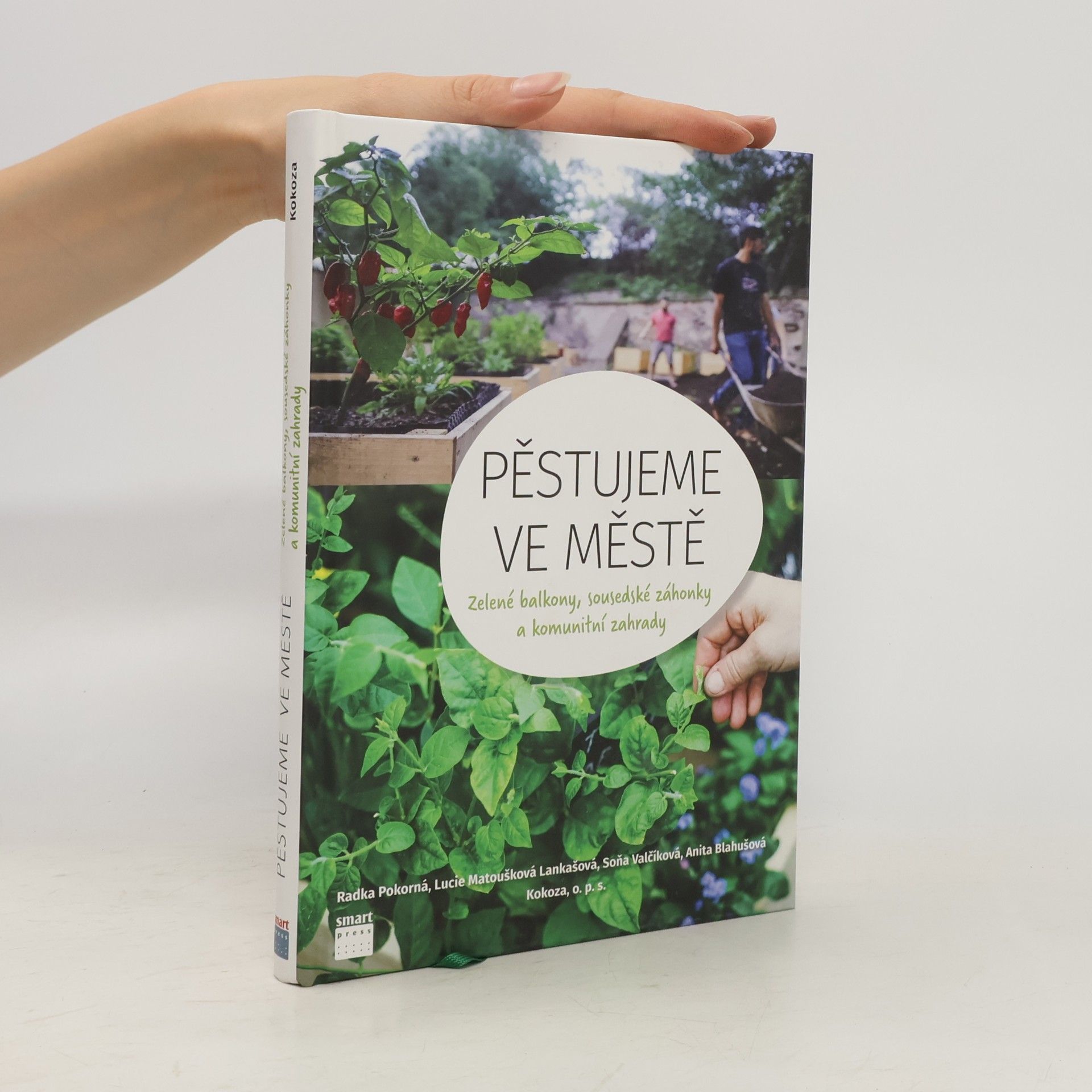 Pěstujeme ve městě. Zelené balkony, sousedské záhonky a komunitní zahrady