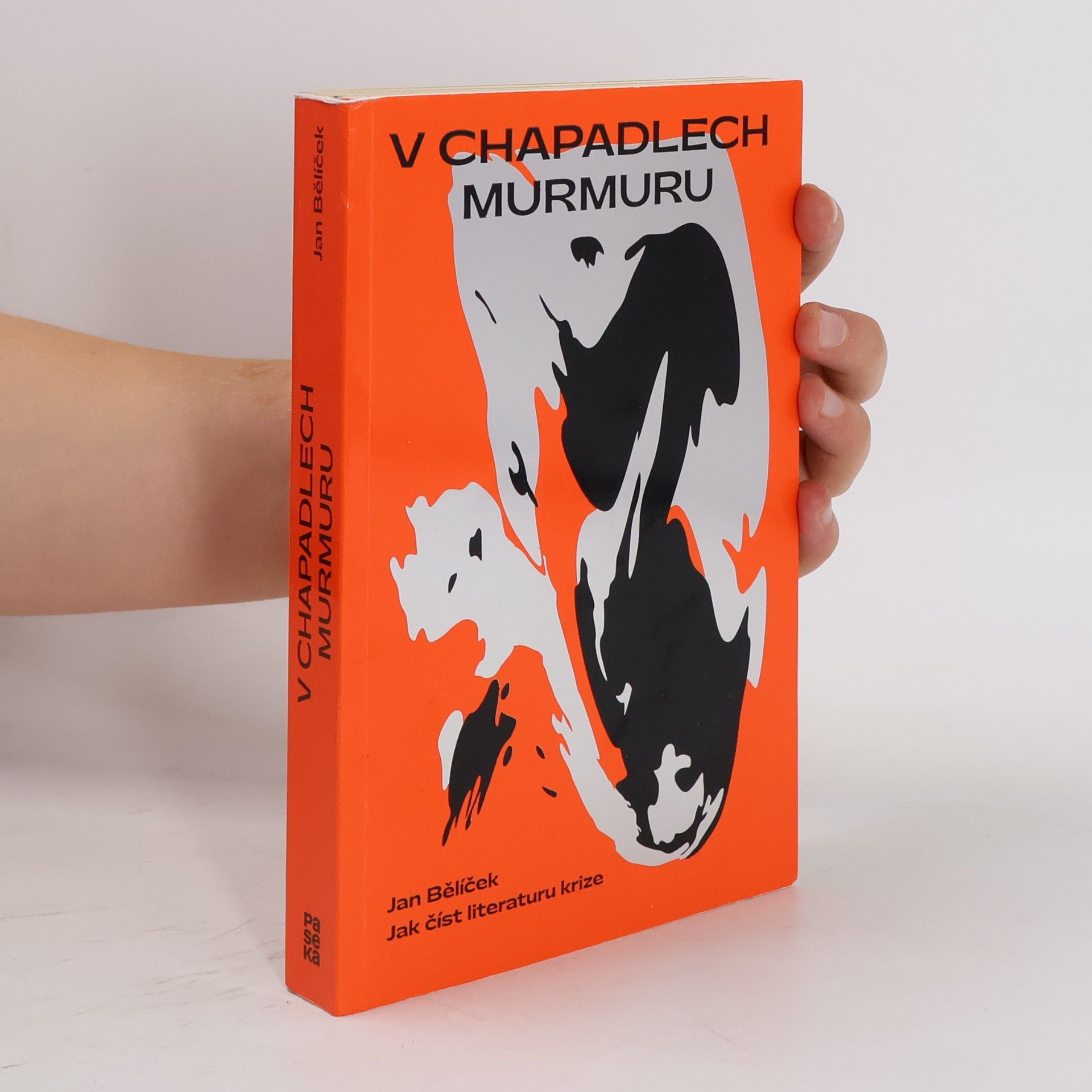 Jan Bělíček V chapadlech murmuru : jak číst literaturu krize