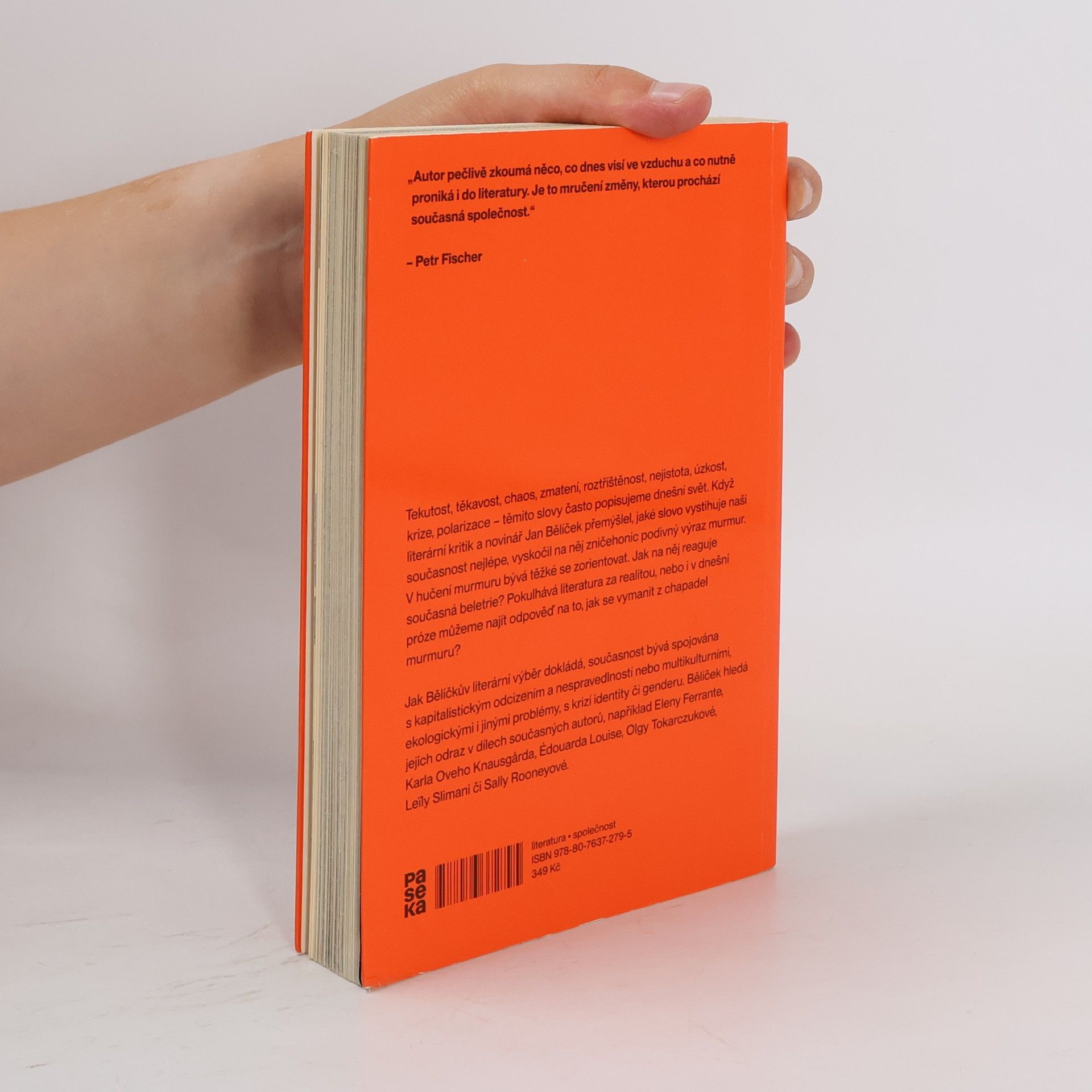 Jan Bělíček V chapadlech murmuru : jak číst literaturu krize