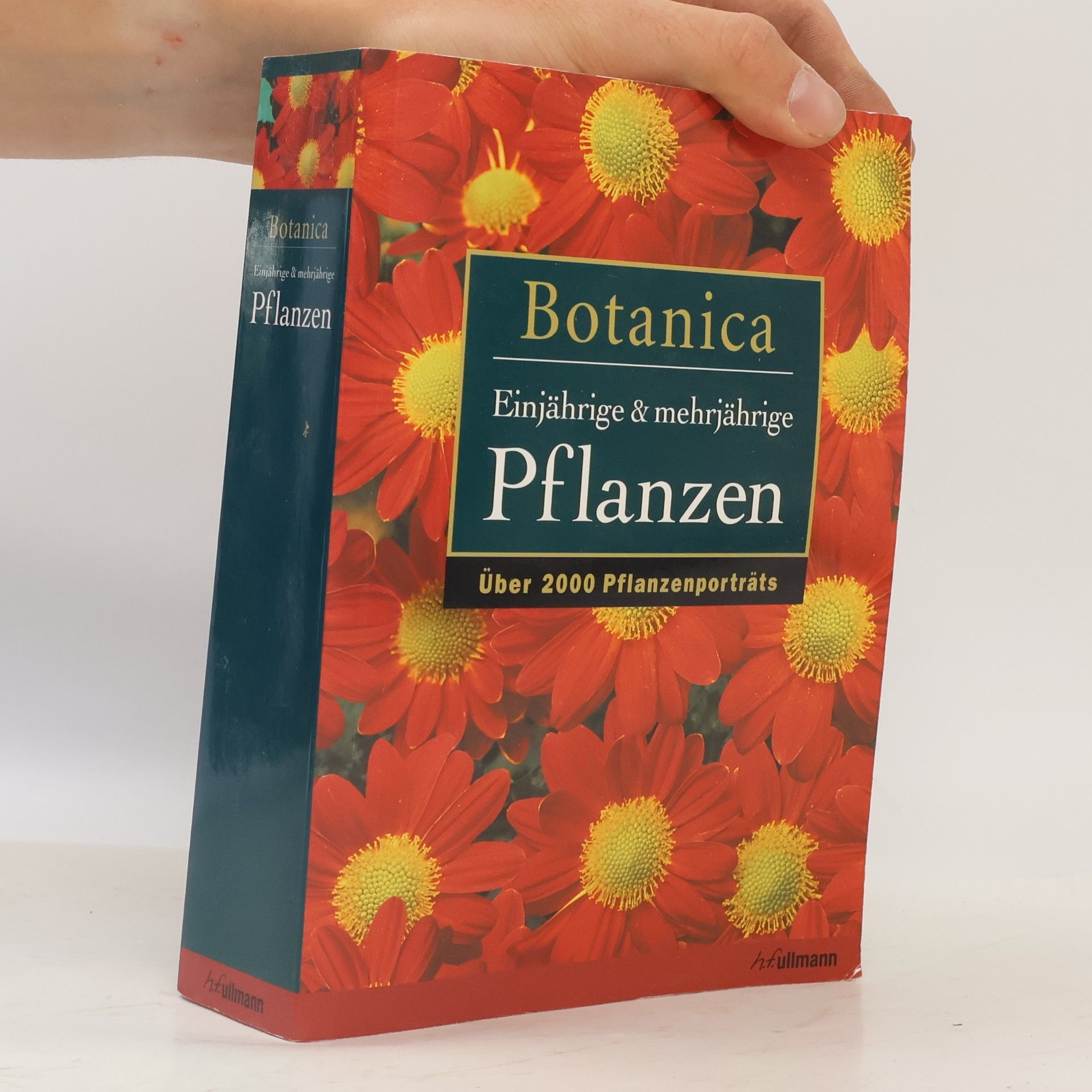 Autorenkollektiv Botanica. Ein Einjährige & mehrjährige Pflanzen