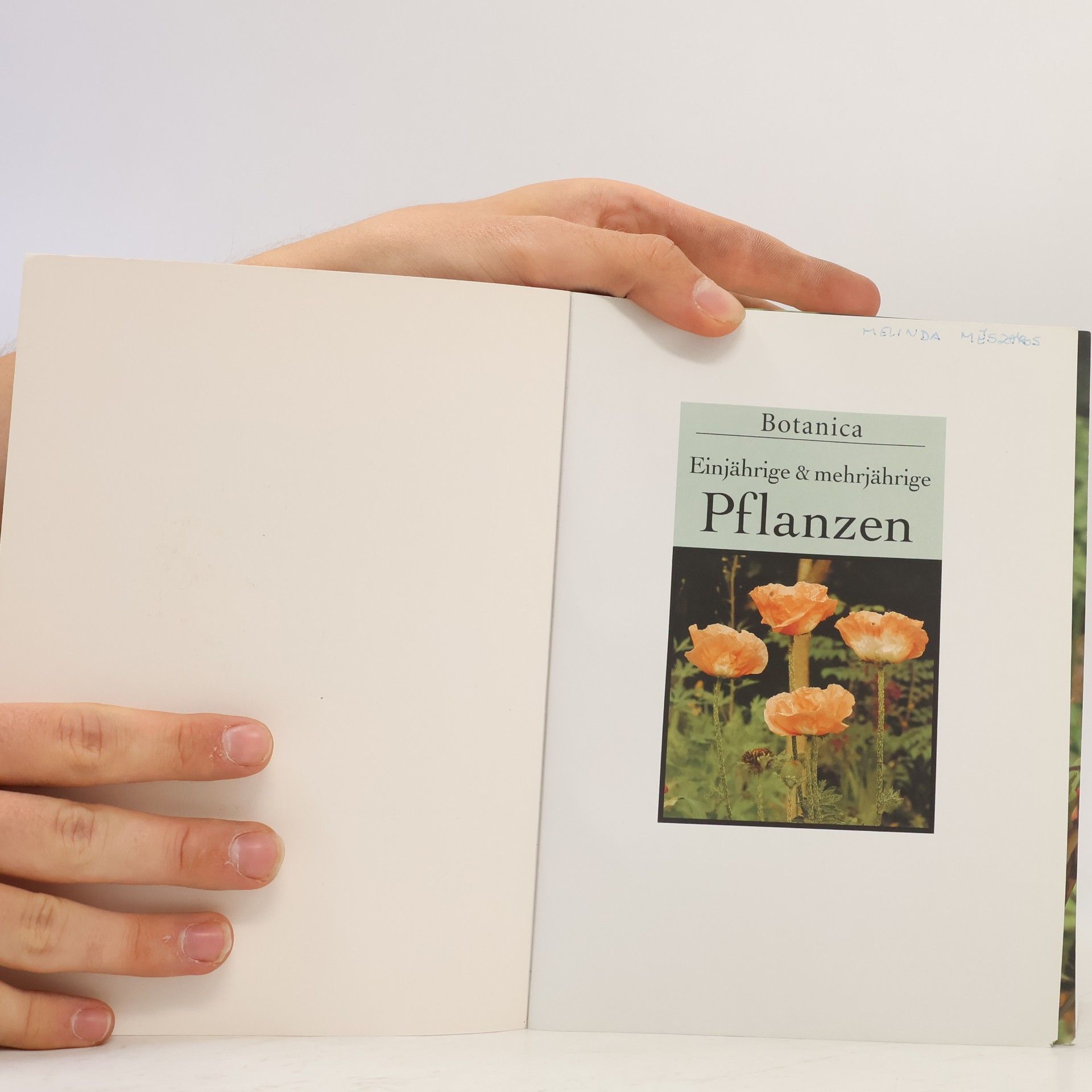 Autorenkollektiv Botanica. Ein Einjährige & mehrjährige Pflanzen