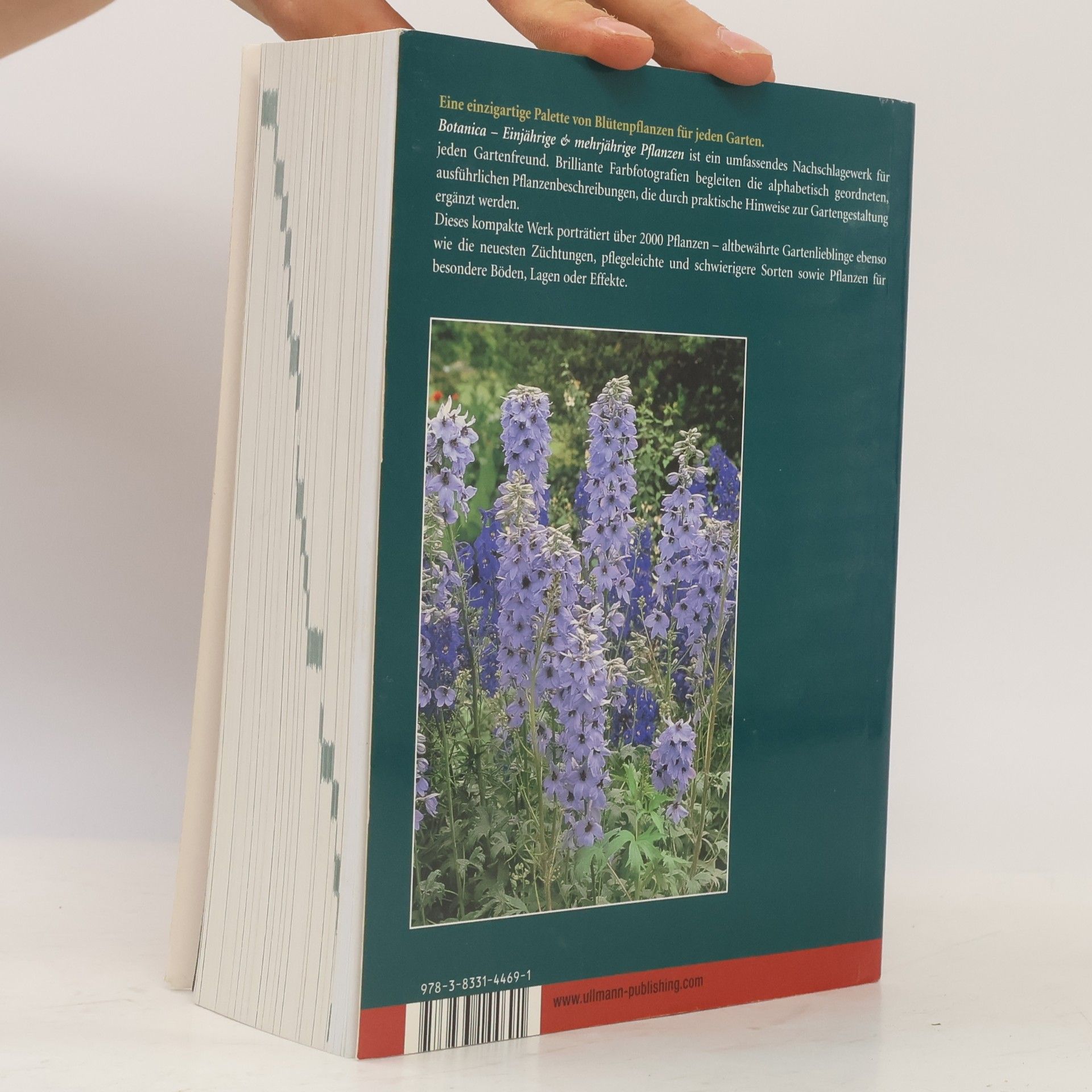 Autorenkollektiv Botanica. Ein Einjährige & mehrjährige Pflanzen
