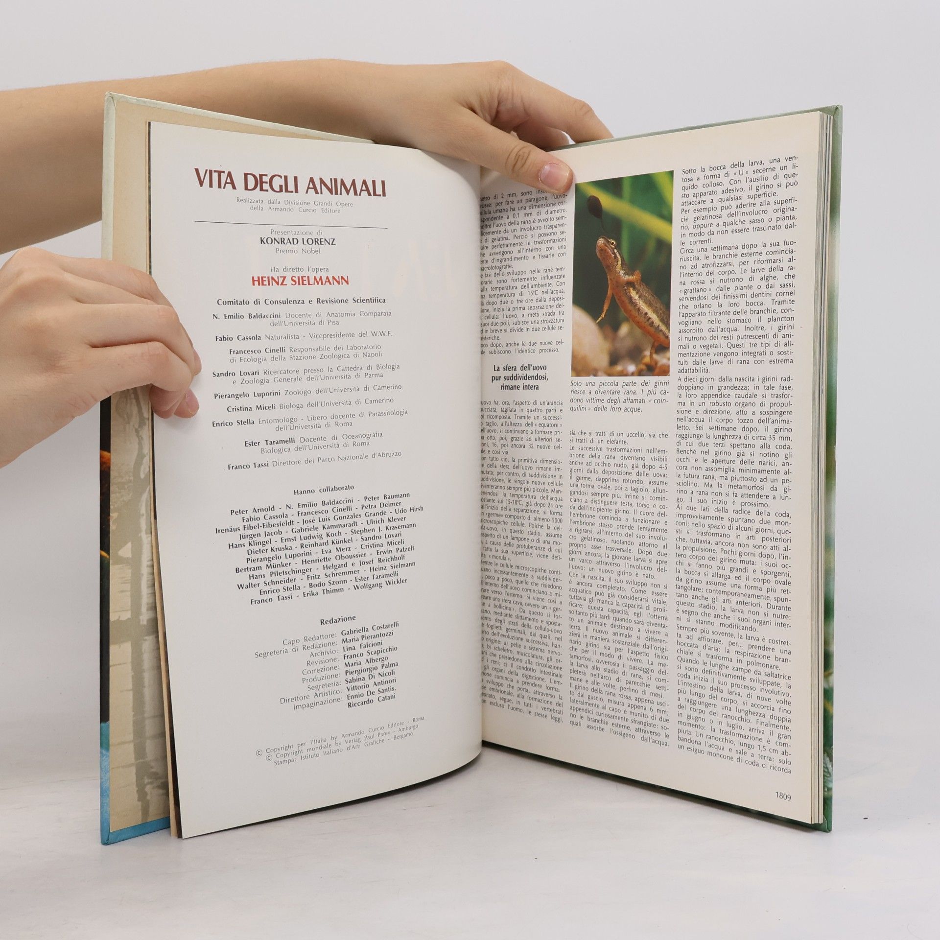Collectif d'auteurs Vita degli animali 15