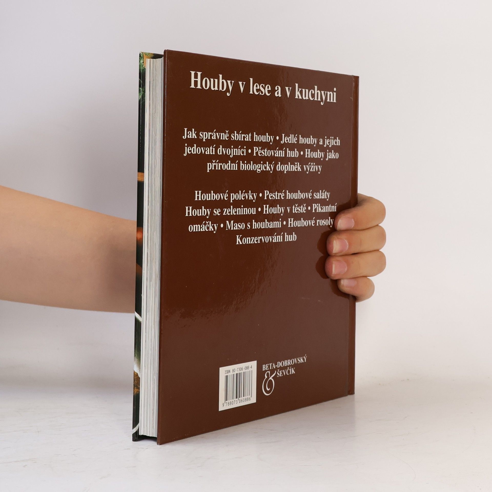 Jiří Baier Houby v lese a v kuchyni