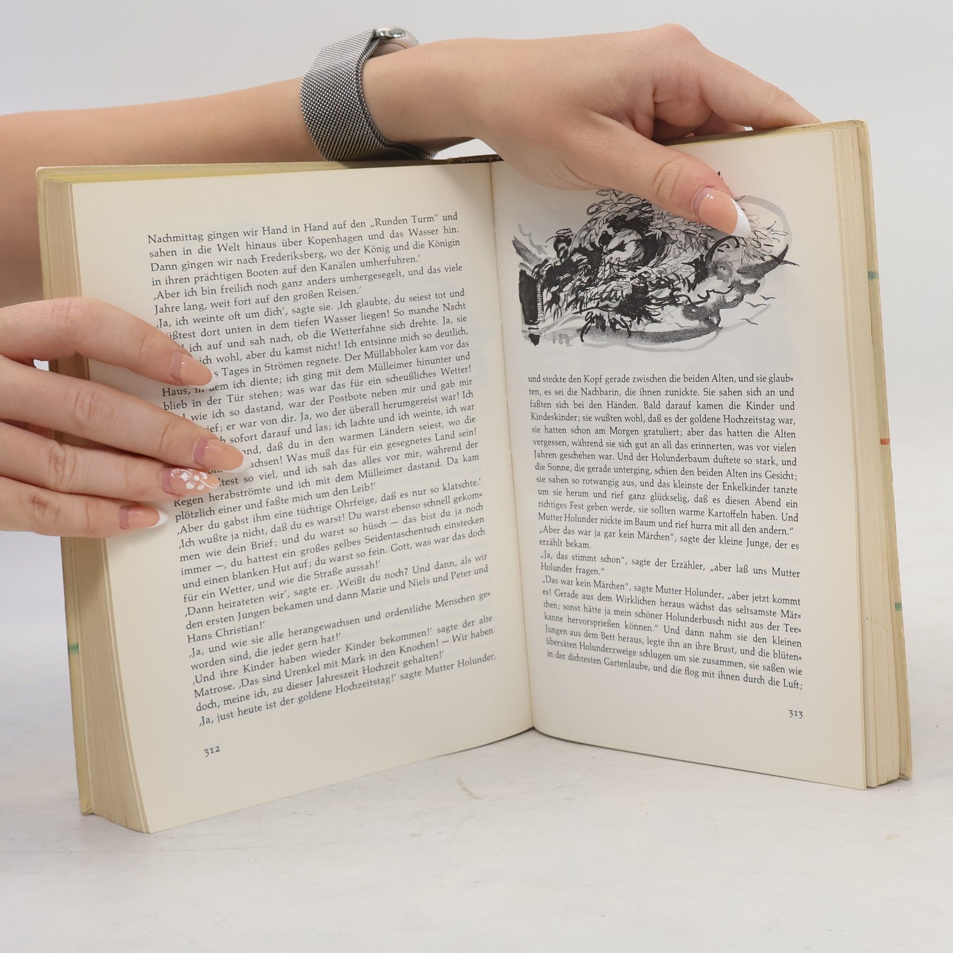 Hans Christian Andersen Die schönsten Märchen von Hans Christian Andersen