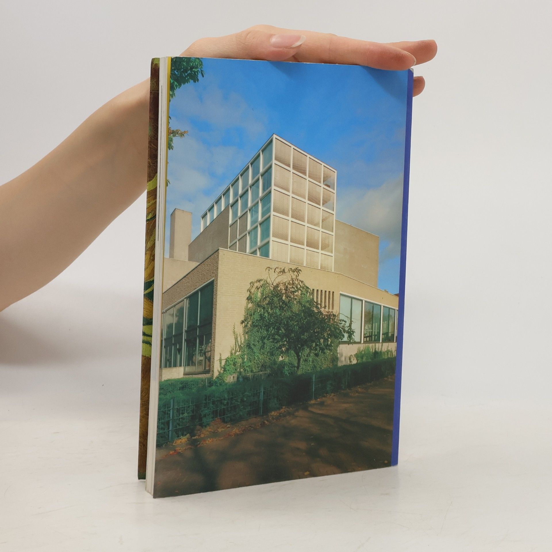 Annemiek Overbeek Van Gogh Museum - guide