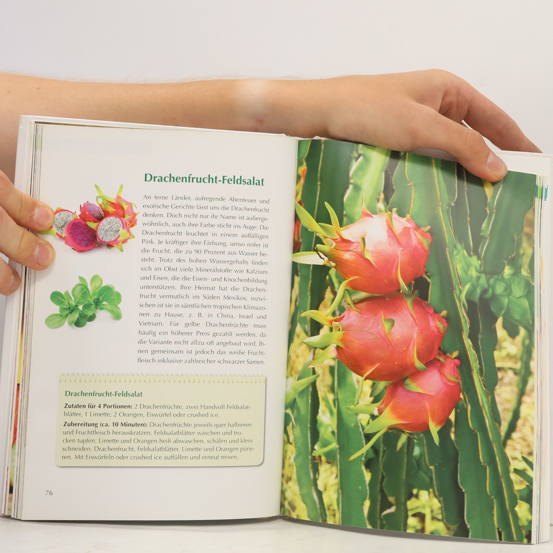 Renningen Garant Die leckersten Smoothies & Powerdrinks