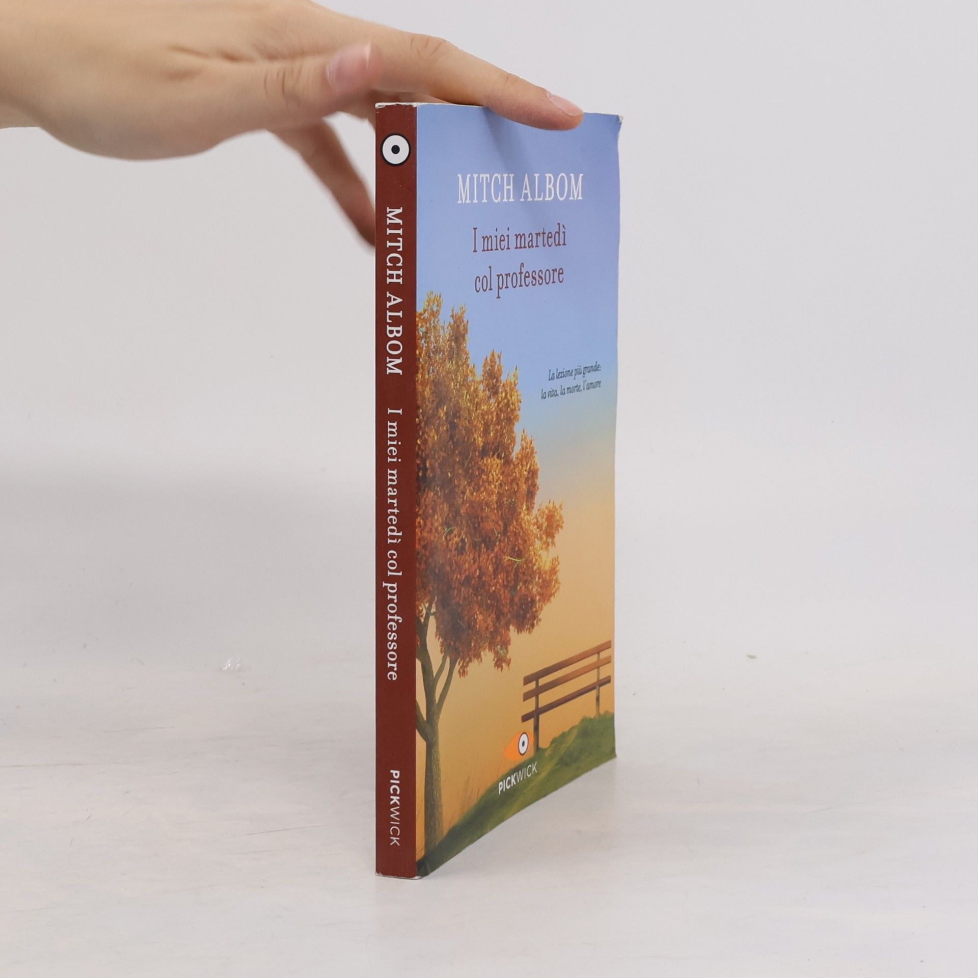 Mitch Albom Pickwick: I miei martedì col professore