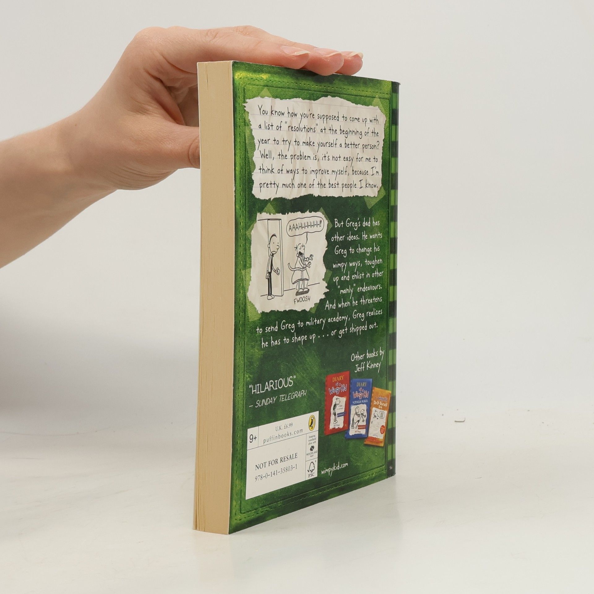 Jeff Kinney Diary of a Wimpy Kid. The Last Straw