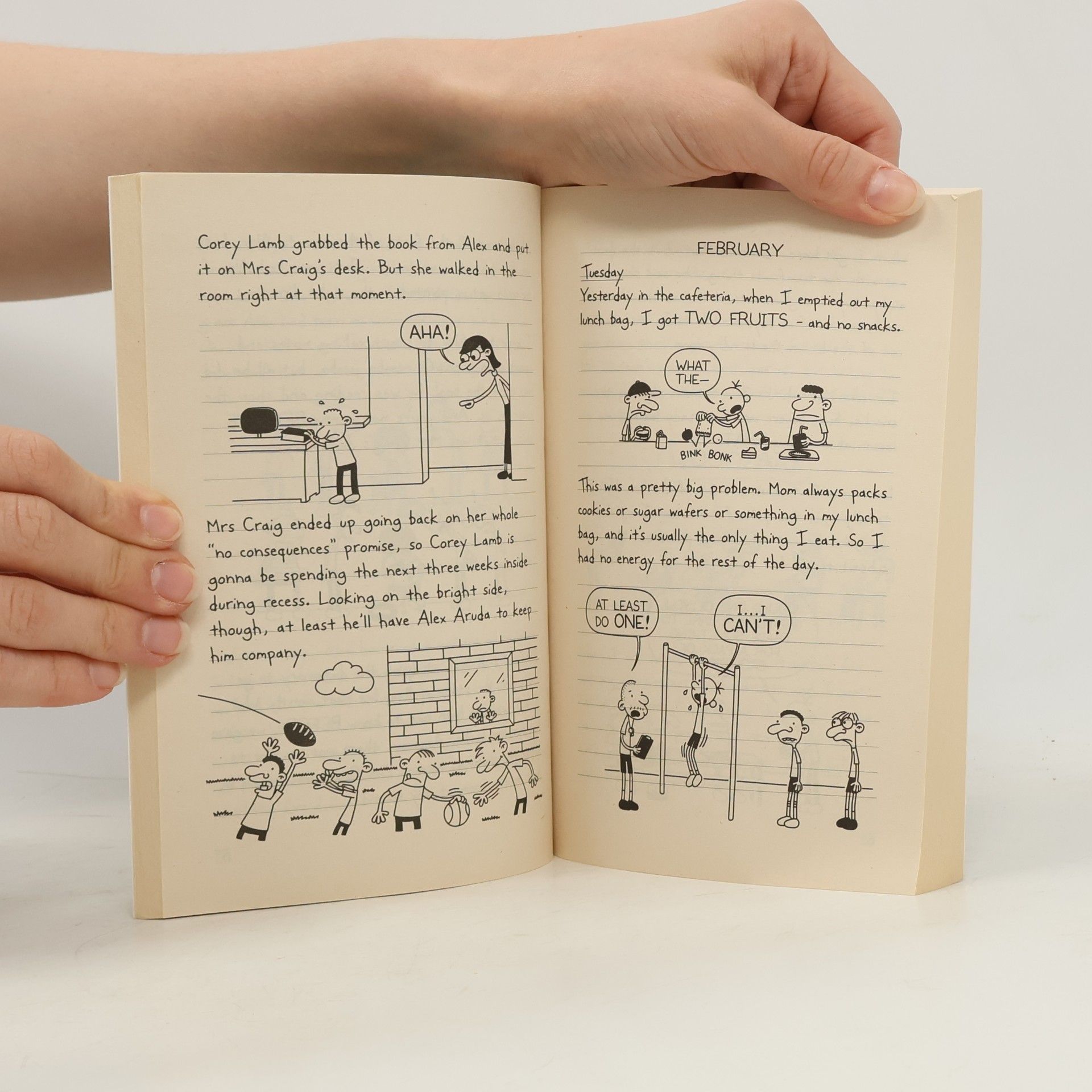 Jeff Kinney Diary of a Wimpy Kid. The Last Straw