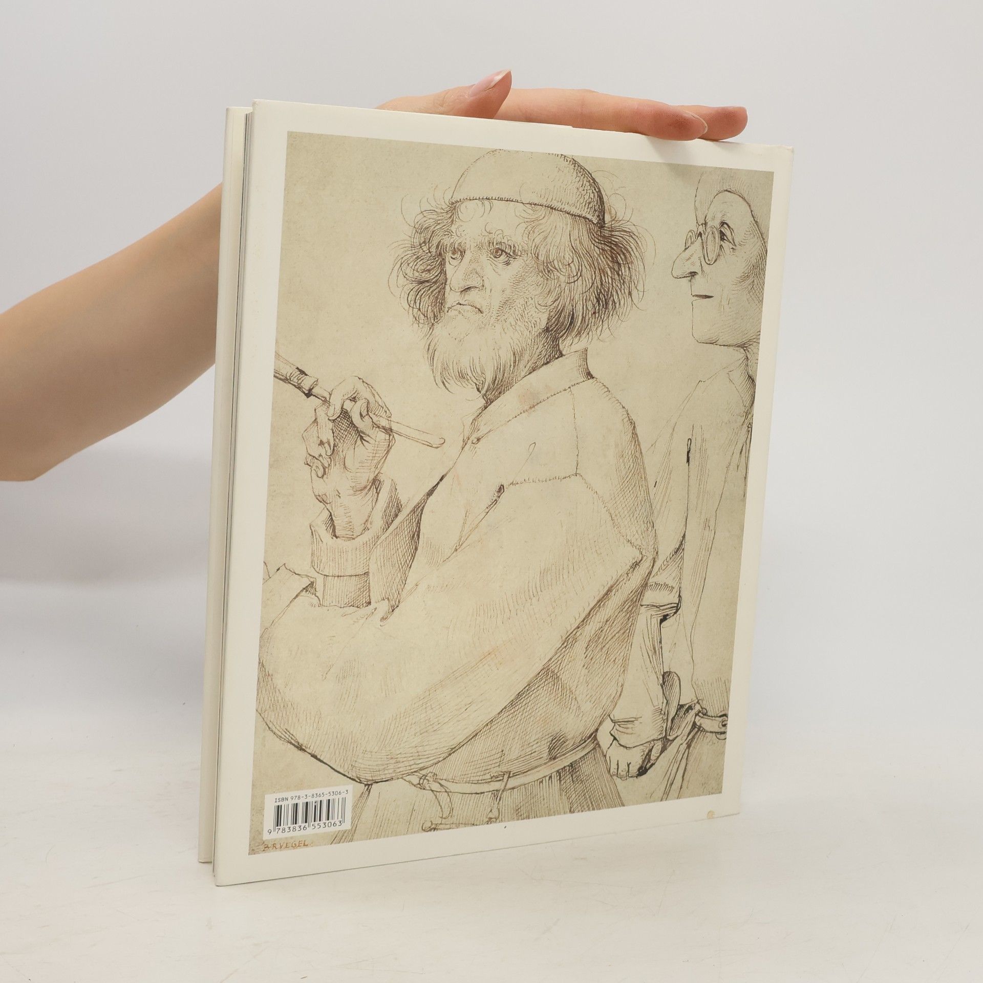Rose Marie Hagen Pieter Bruegel the elder