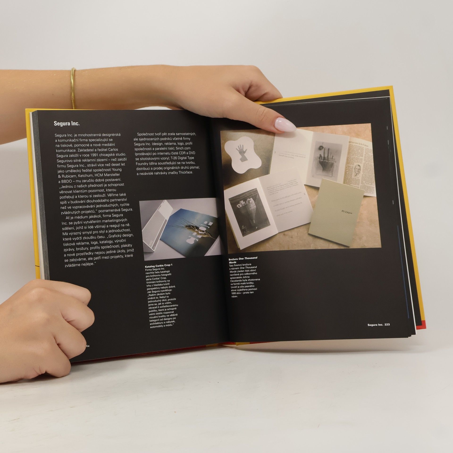 Lakshmi Bhaskaran Design publikací. Vizuální komunikace tištěných médií