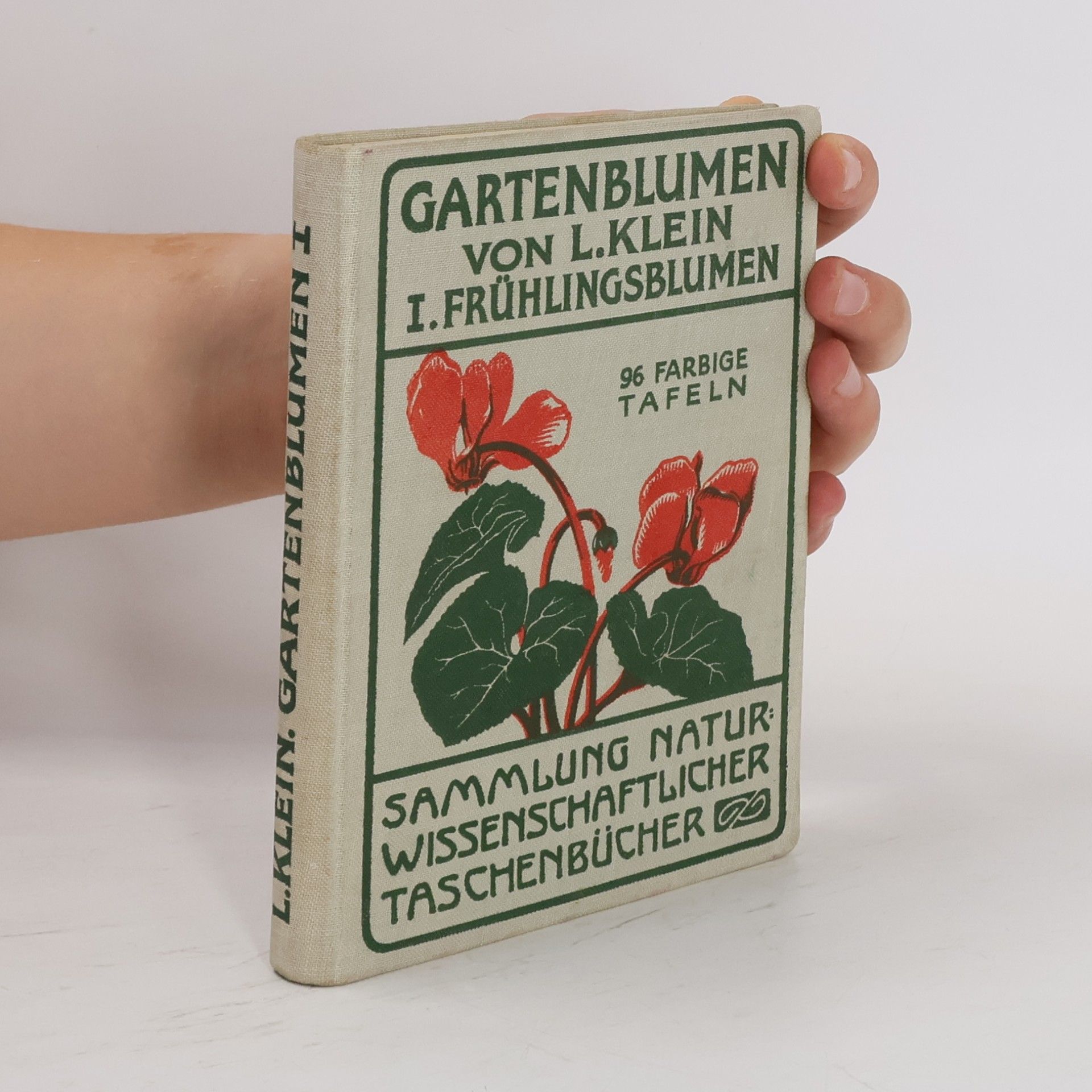 Ludwig Klein Gartenblumen I.: Frühlingsblumen