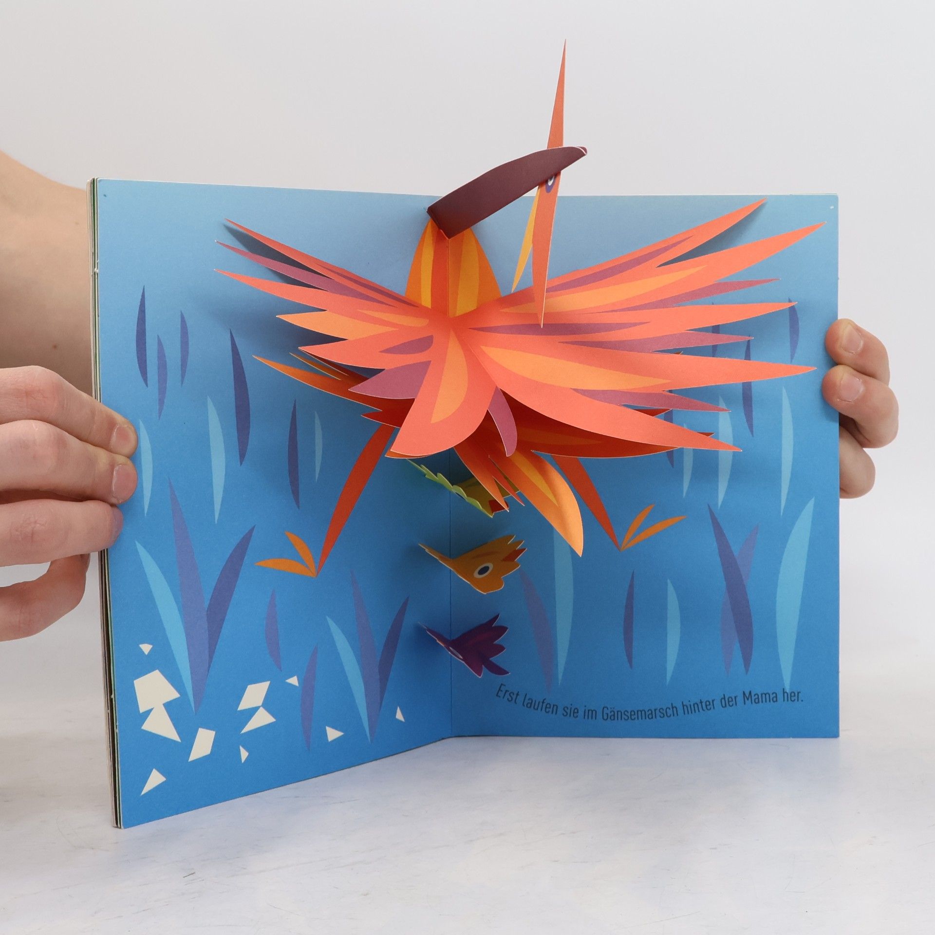 UG Komischer Vogel