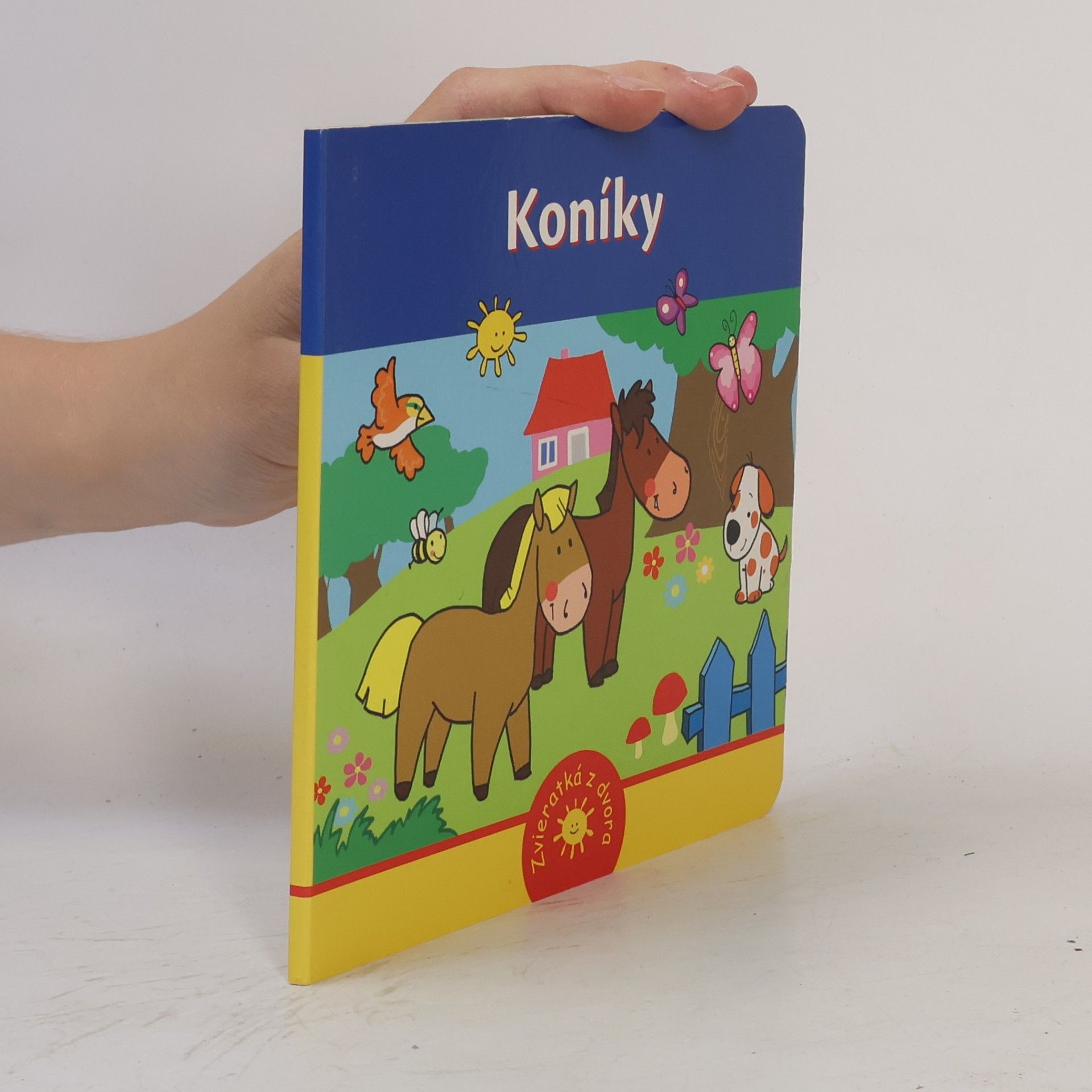 Kolektiv autorů Koníky