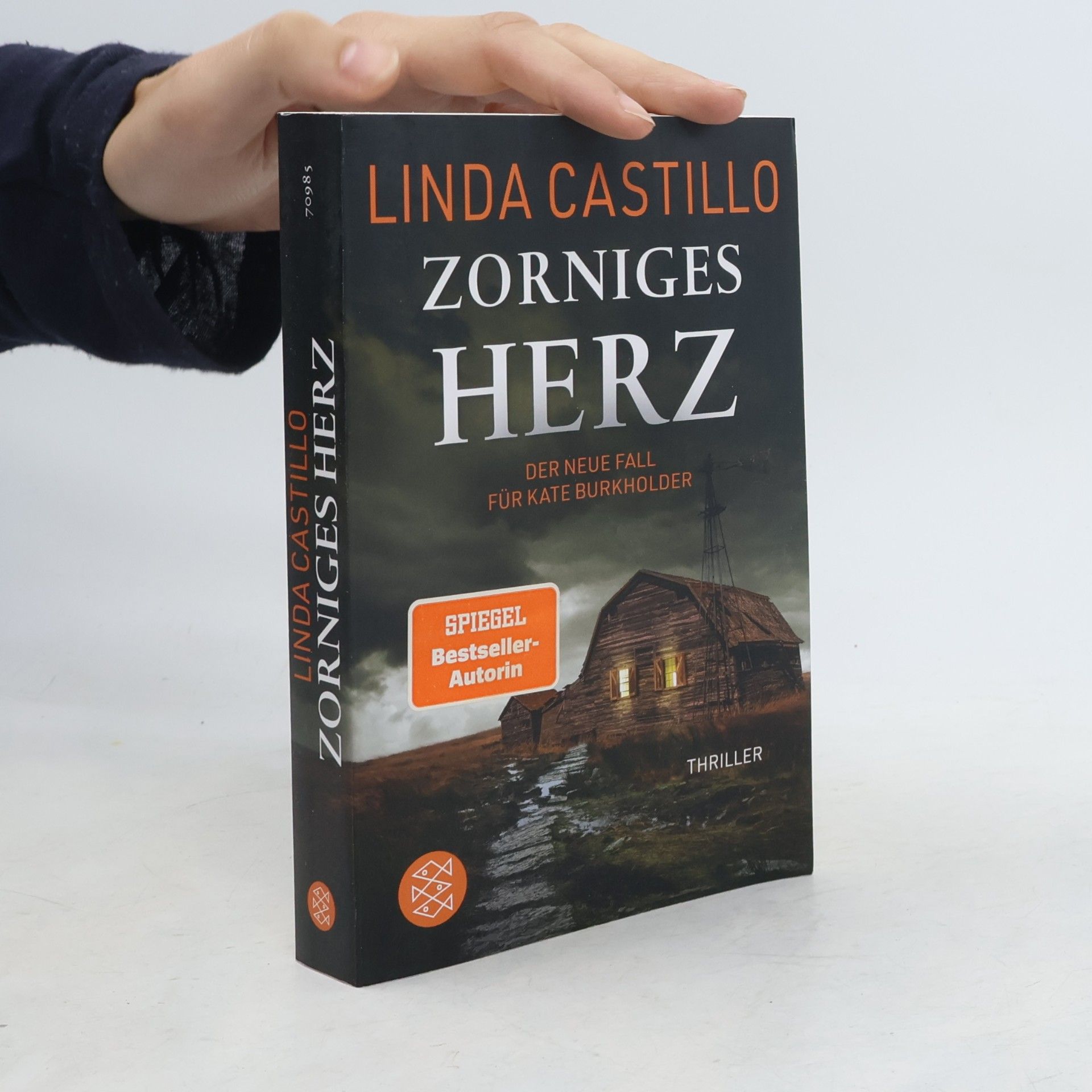 Linda Castillo Zorniges Herz