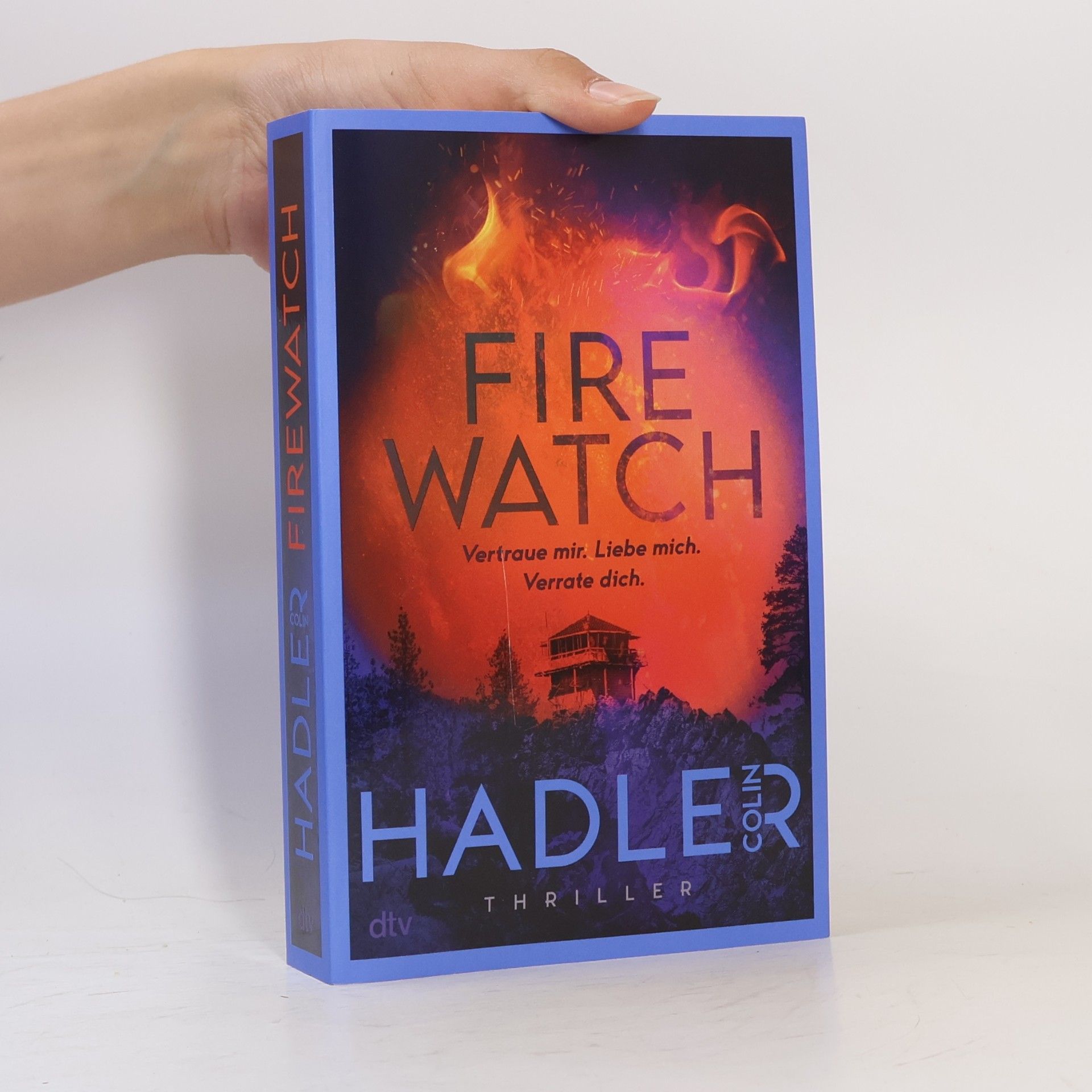 Colin Hadler Firewatch