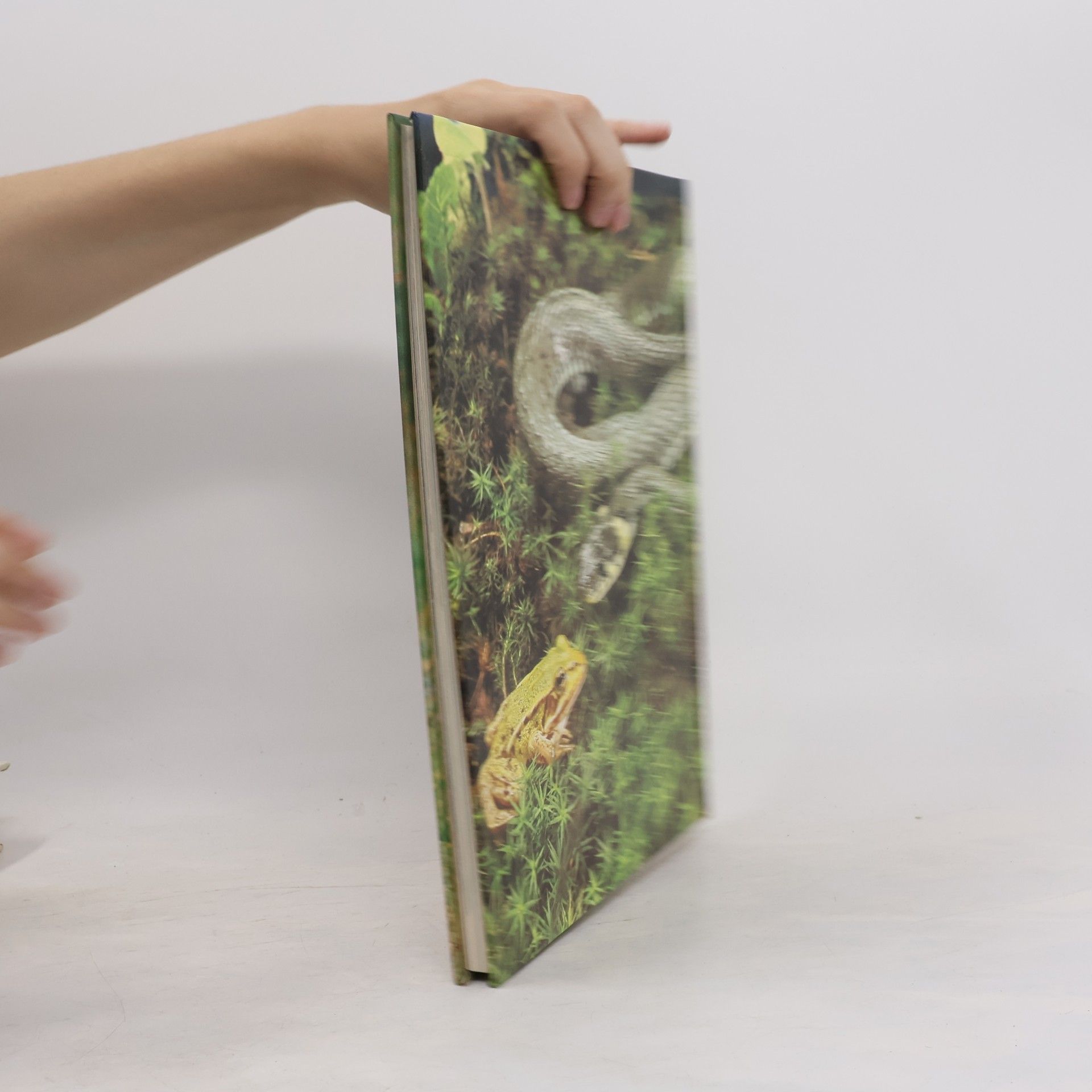Collectif d'auteurs Vita degli Animali 12