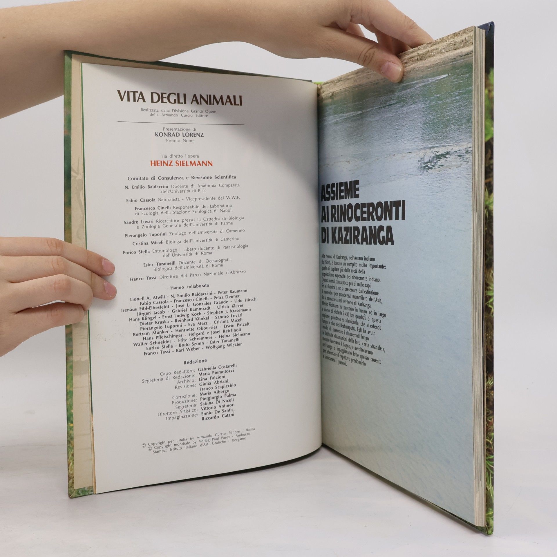Collectif d'auteurs Vita degli Animali 12