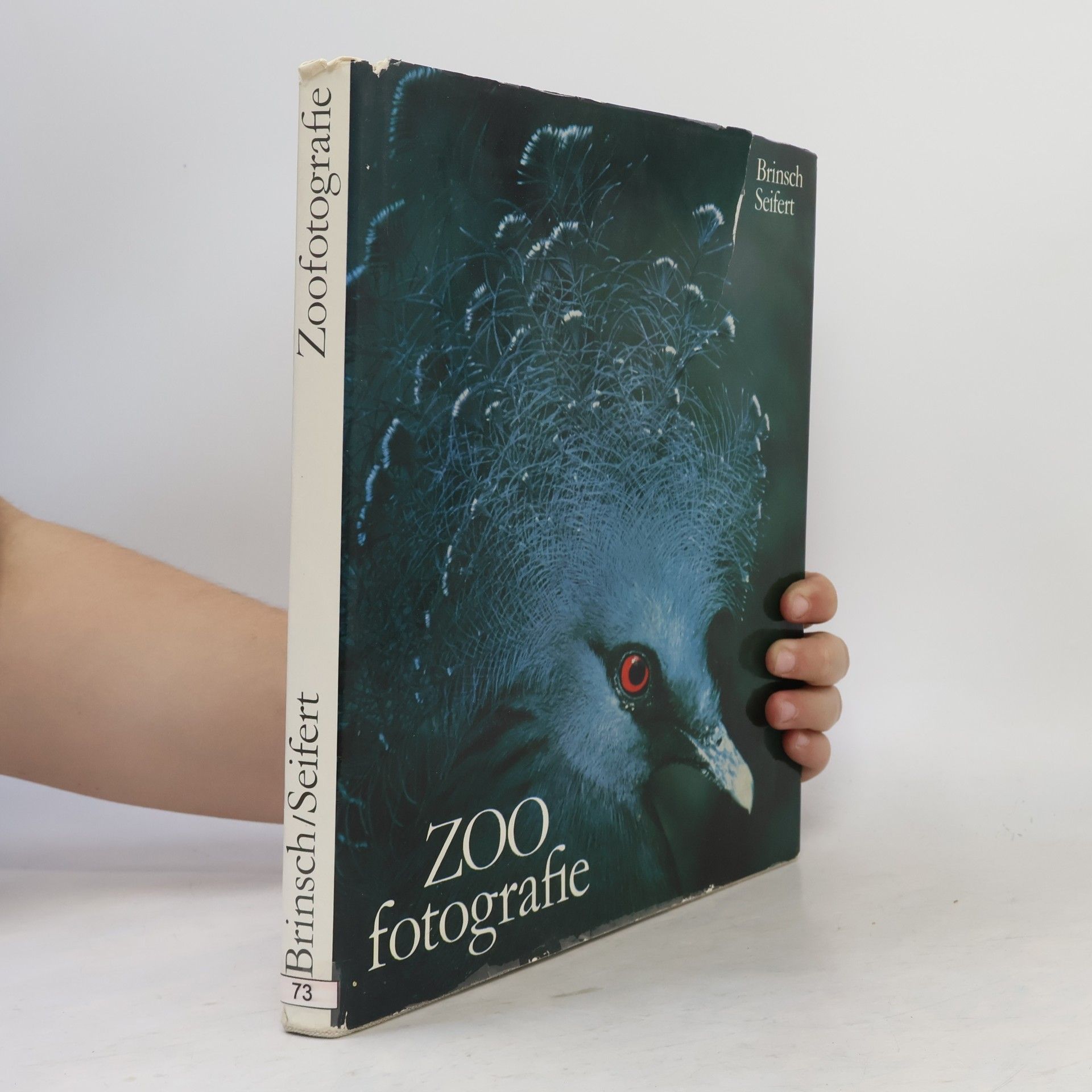 Roland Brinsch ZOO Fotografie