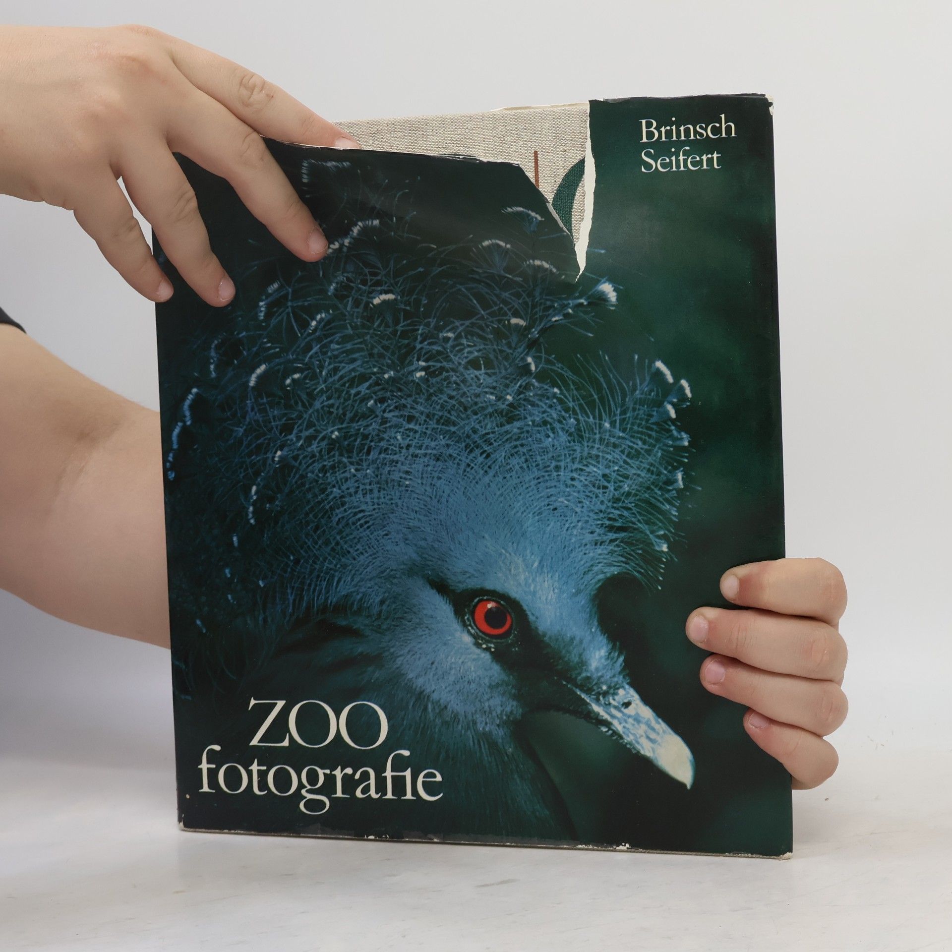 Siegfried Seifert ZOO Fotografie