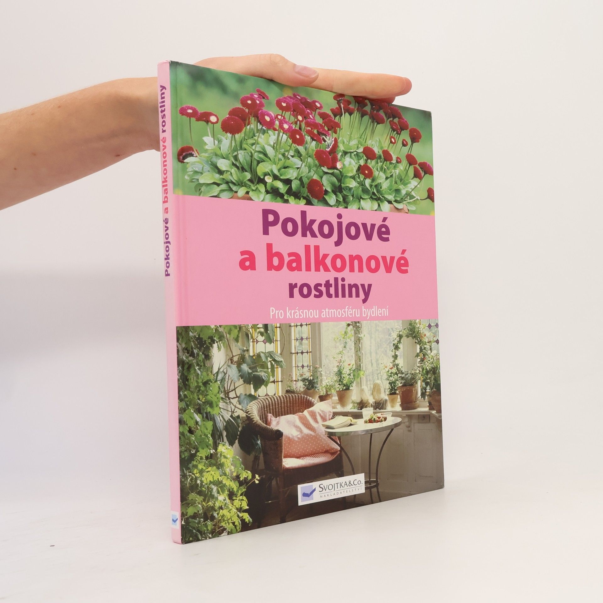 Kolektiv autorů Pokojové a balkonové rostliny