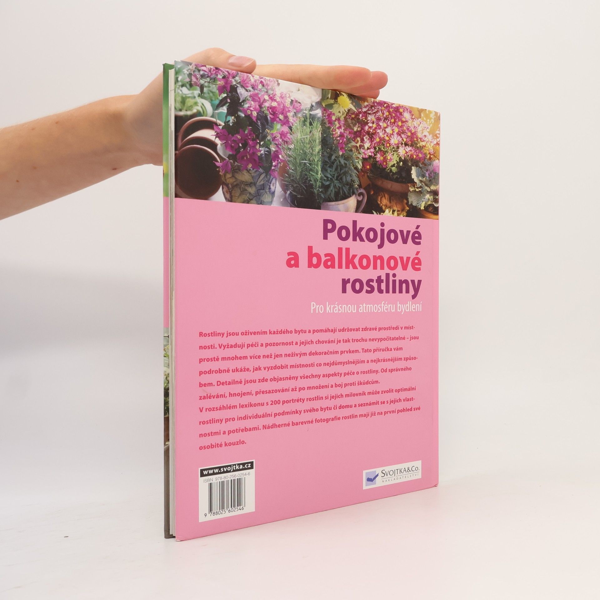 Autorenkollektiv Pokojové a balkonové rostliny