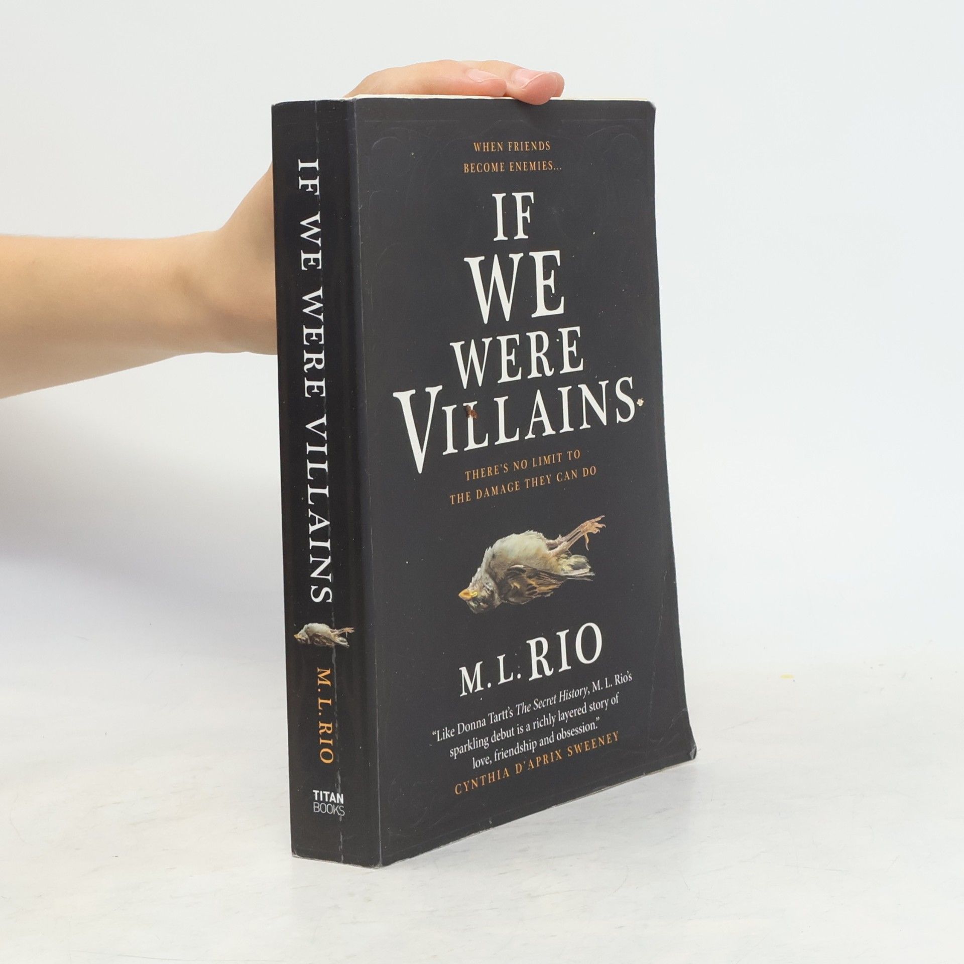 M. L. Rio If We Were Villains