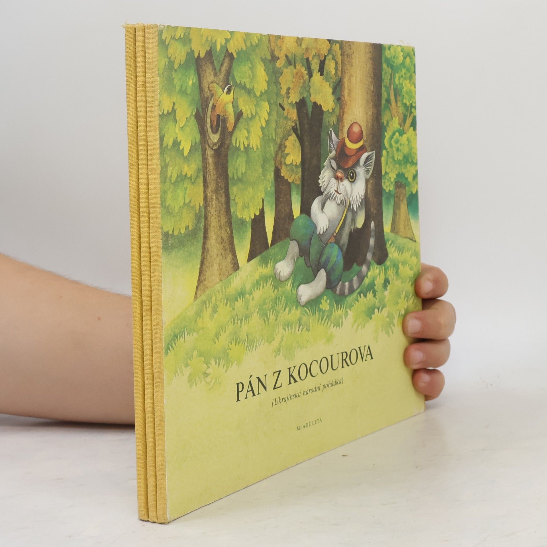 Autorenkollektiv Pán z kocourova