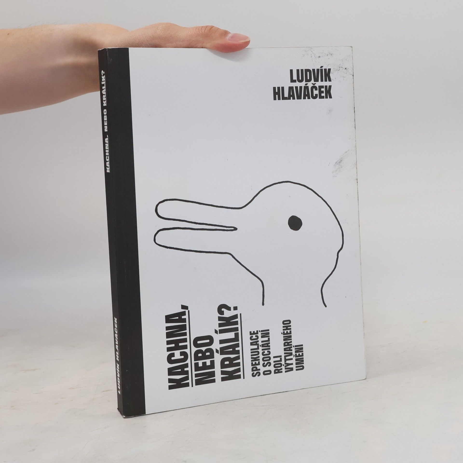 Ludvík Hlaváček Kachna, nebo králík?: Spekulace o sociální roli výtvarného umění